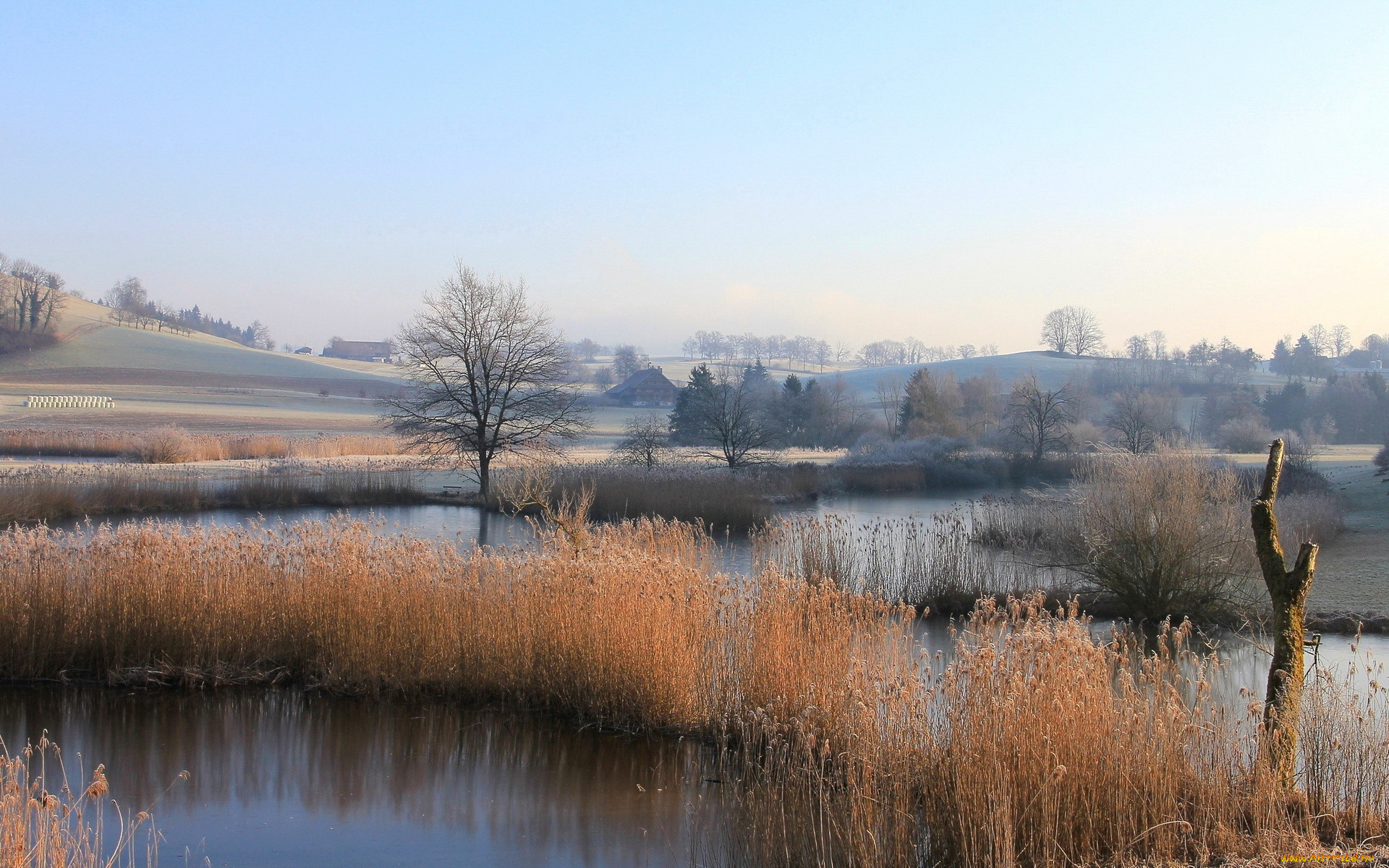 природа, реки, озера, водоем, деревья, дома, камыш, осень