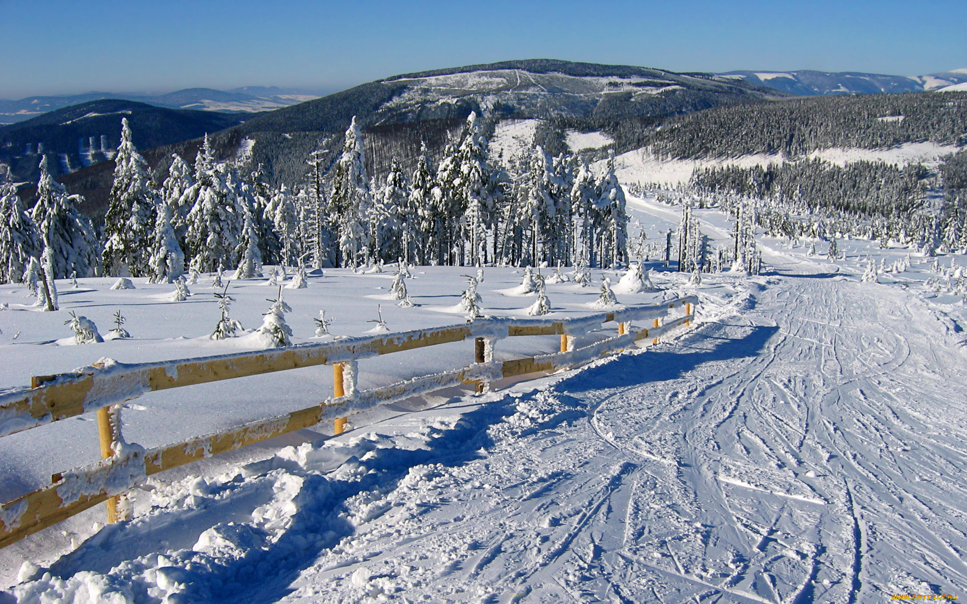 природа, зима, снег, дорога, лес