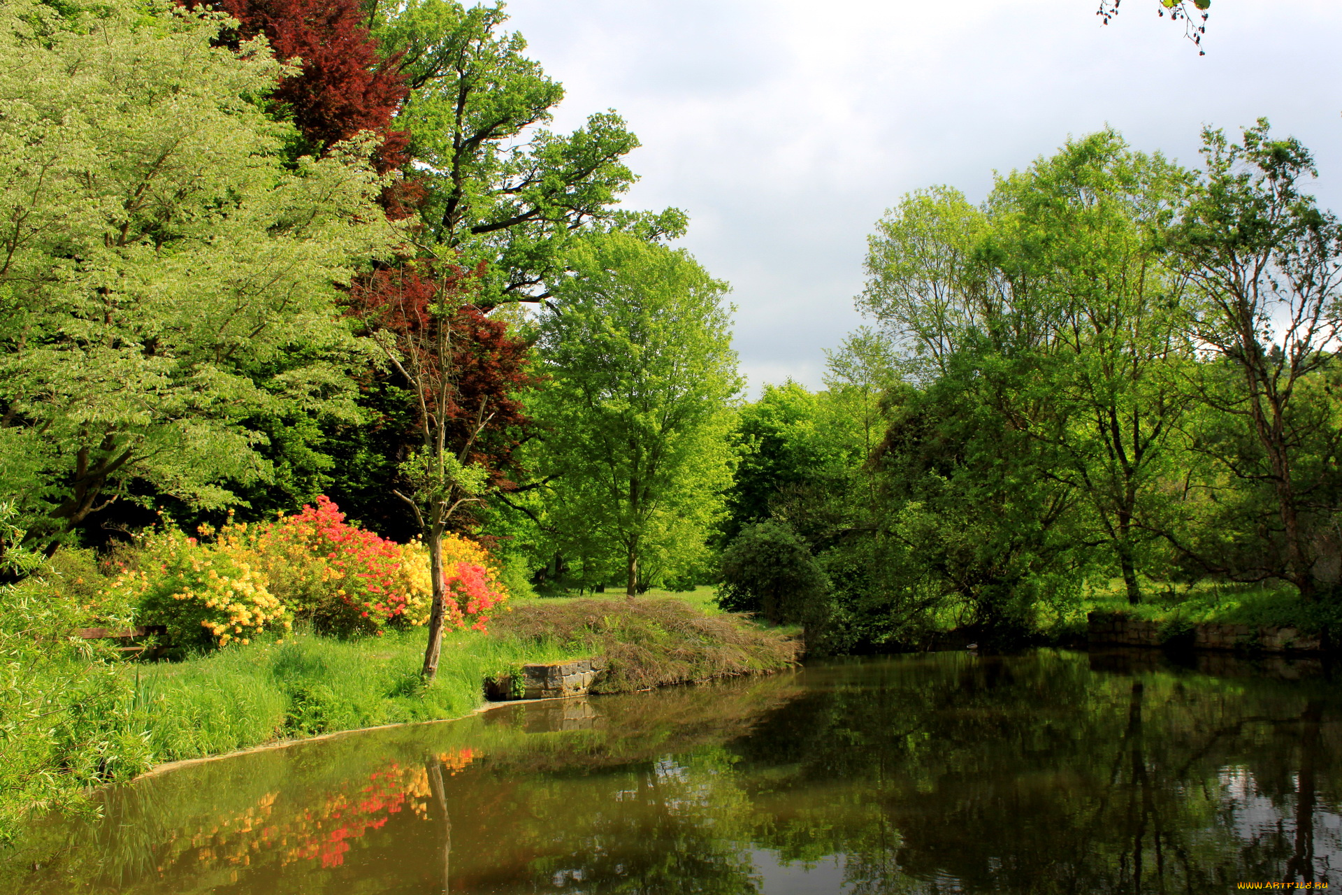 Чехия, pruhonice, природа, реки, озера, река