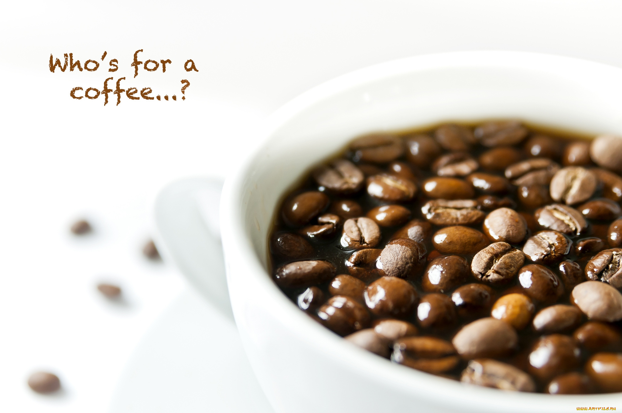 еда, кофе, кофейные, зёрна, зерна, чашка