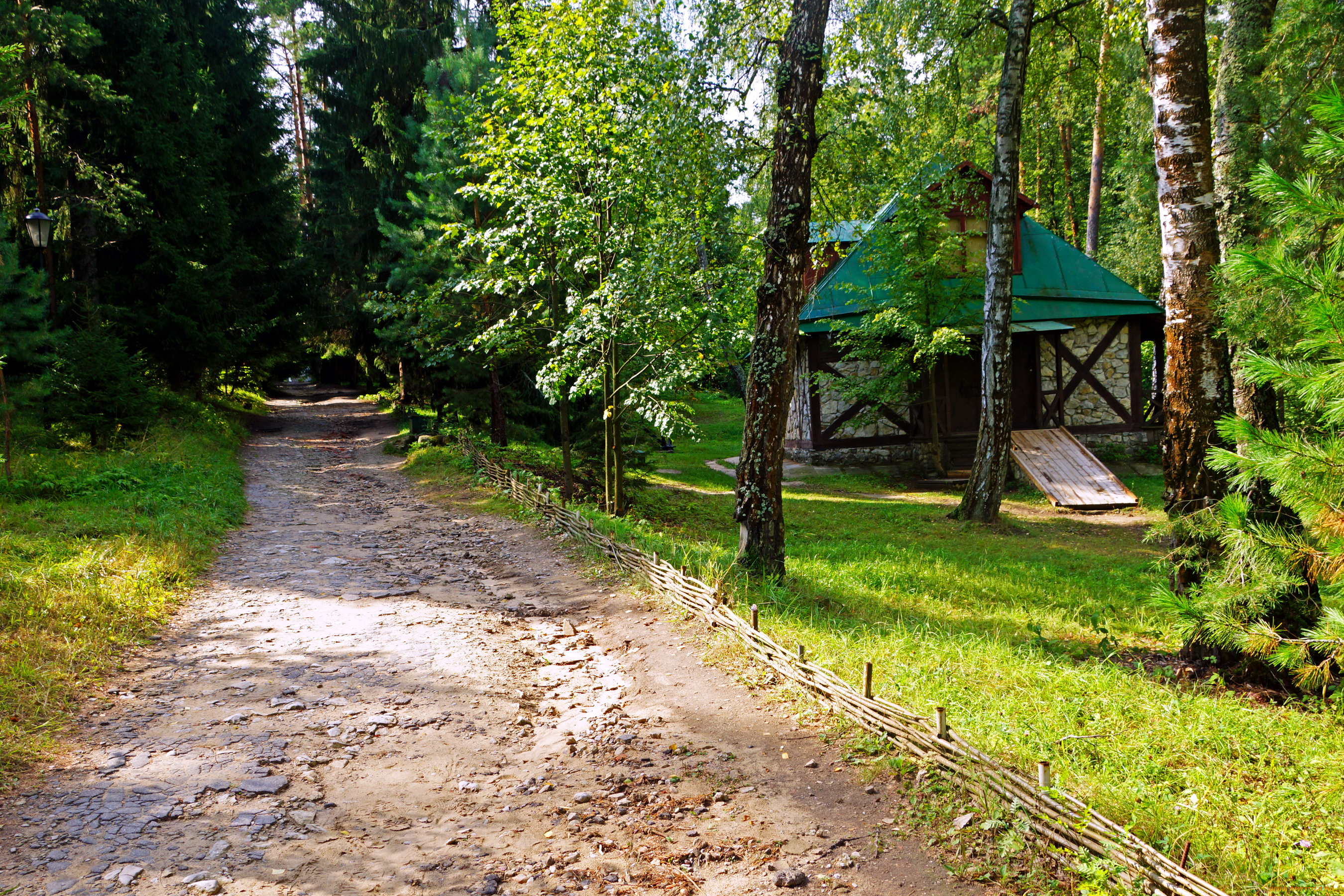 калужская, область, поленово, природа, деревья, лес, дорога