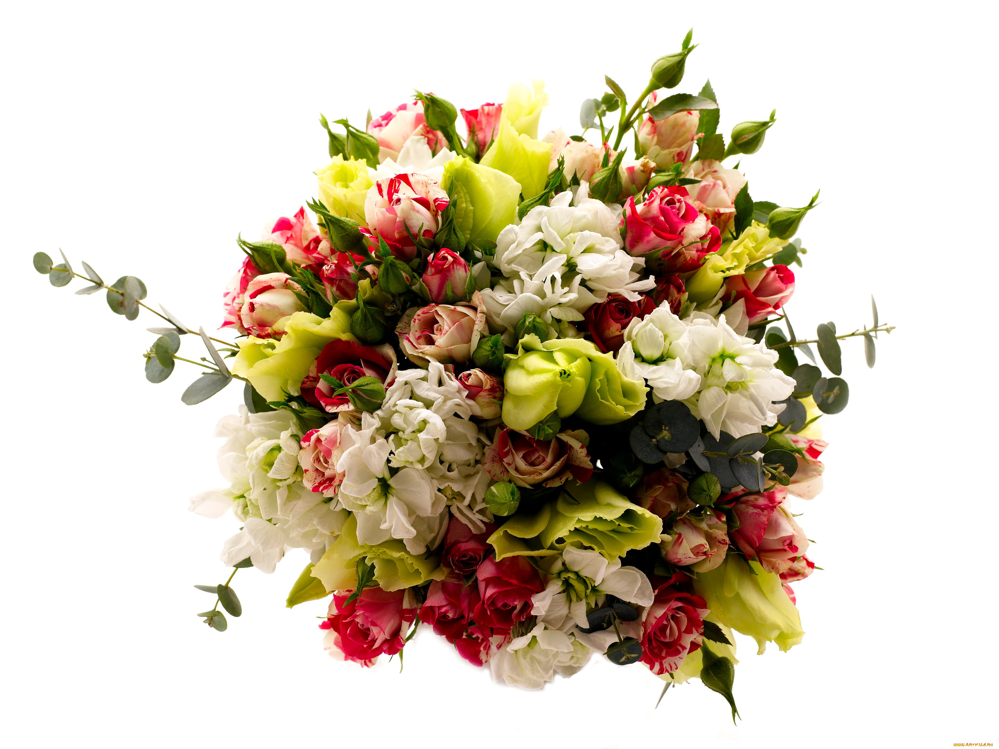 цветы, букеты, композиции, розы, букет