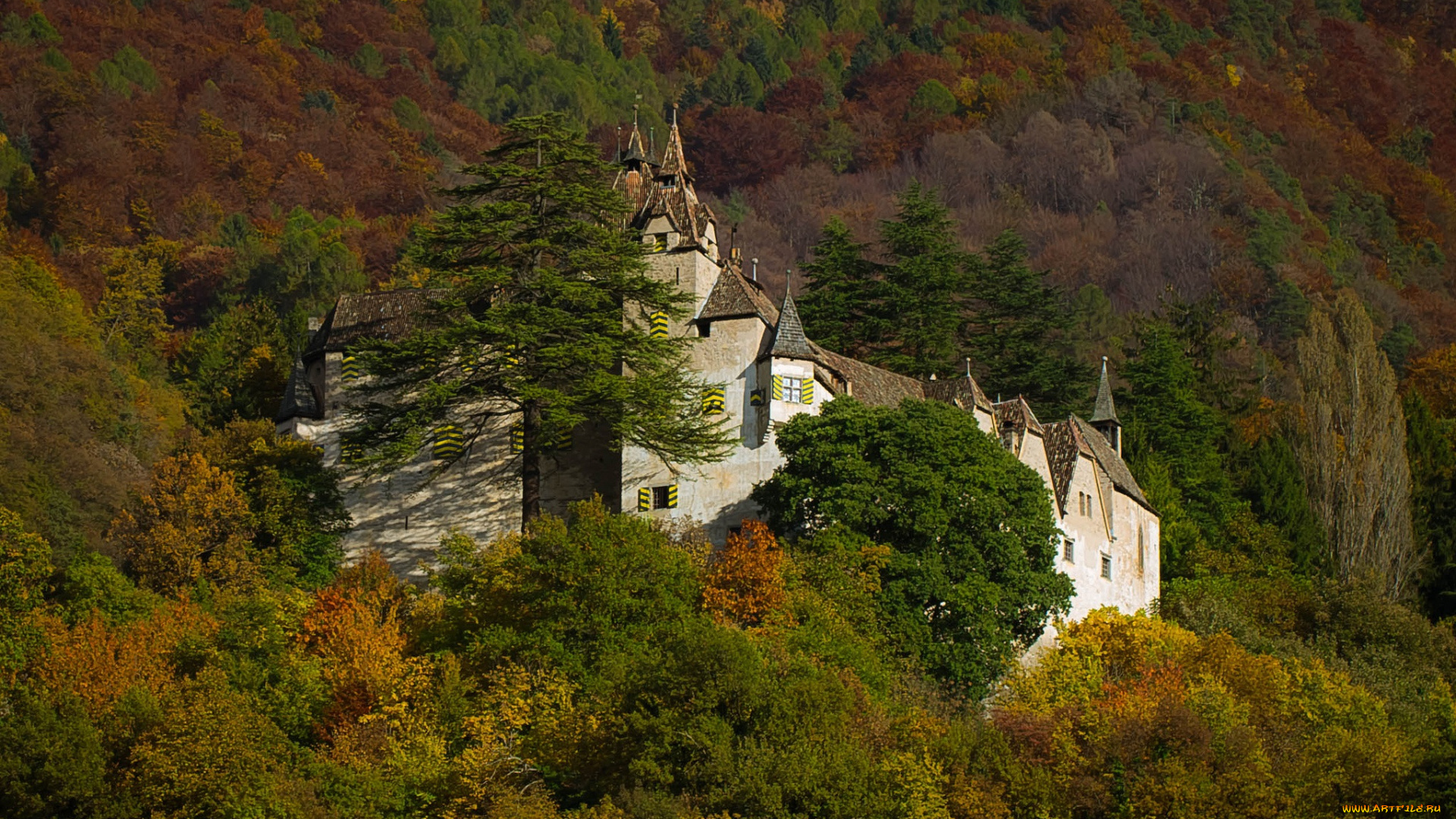 города, дворцы, замки, крепости, горы, лес, замок