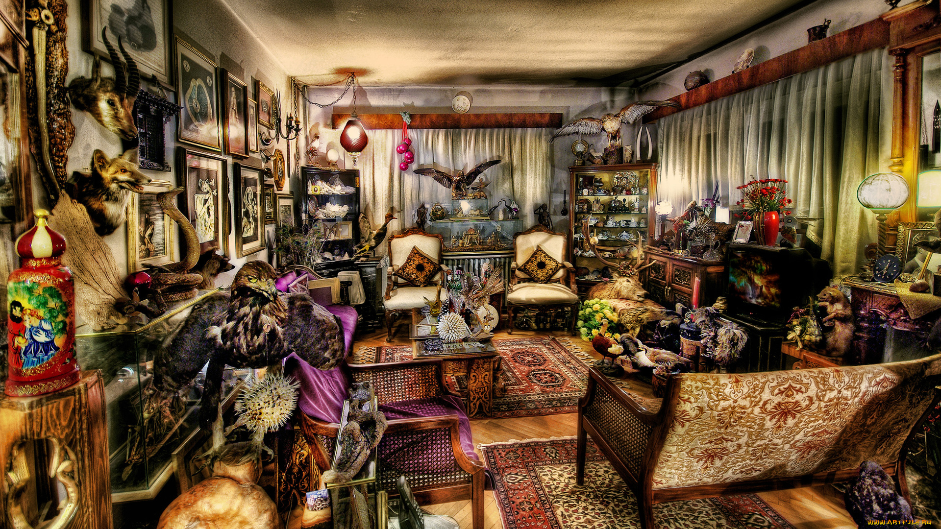 интерьер, гостиная, стол, стул, олень, лампа, кресло, цепь, занавески, подушка, аквариум, шарики, комната, телефон, статуэтка, шкаф, чучело, картины, меч, часы, медведь, сервиз, телевизор, ваза, ковер, лиса, козел, птица, венок, цветы, кобра, утка, ерш, вещи