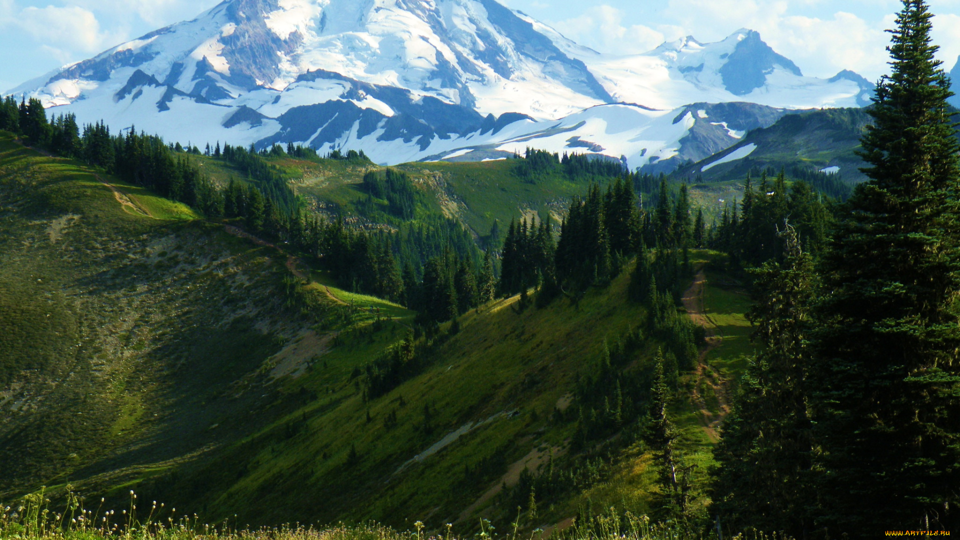 mount, baker, snoqualmie, national, forest, washington, природа, горы, лес