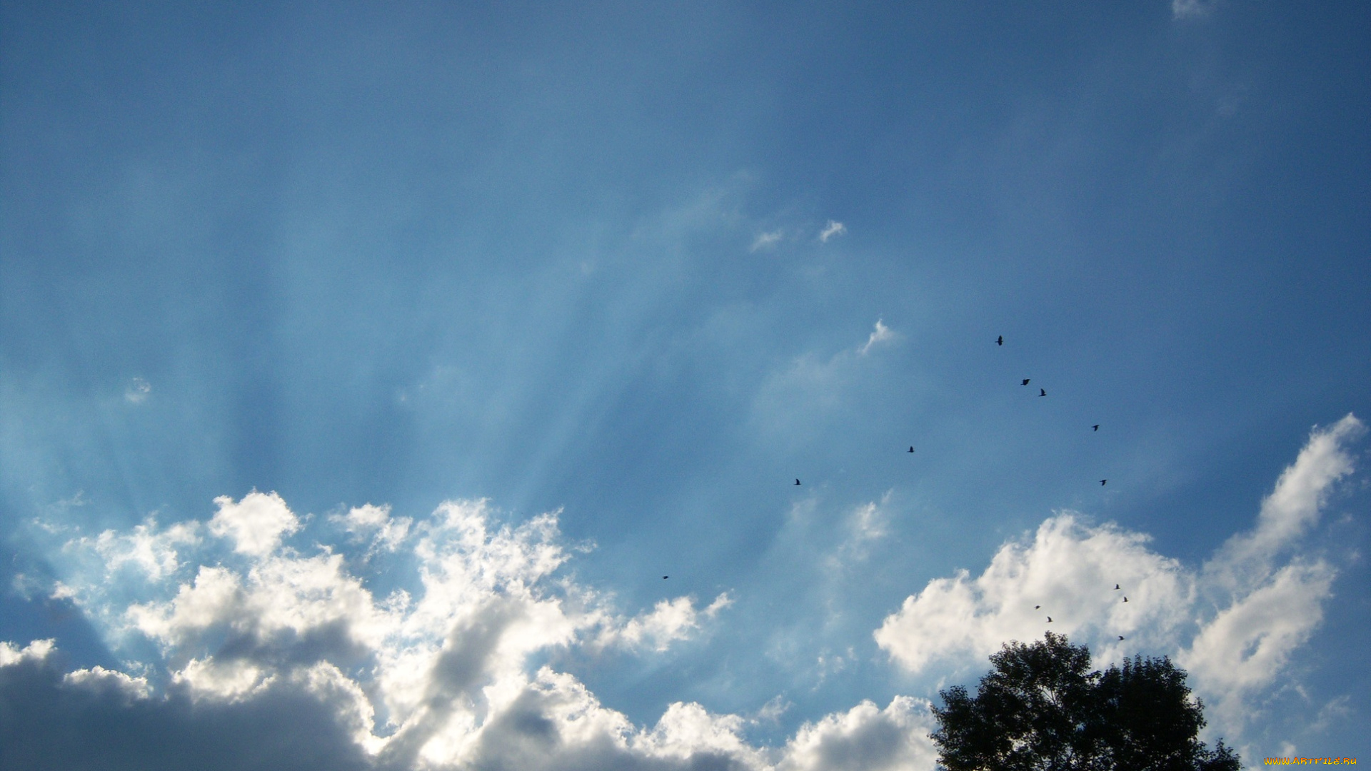 природа, облака