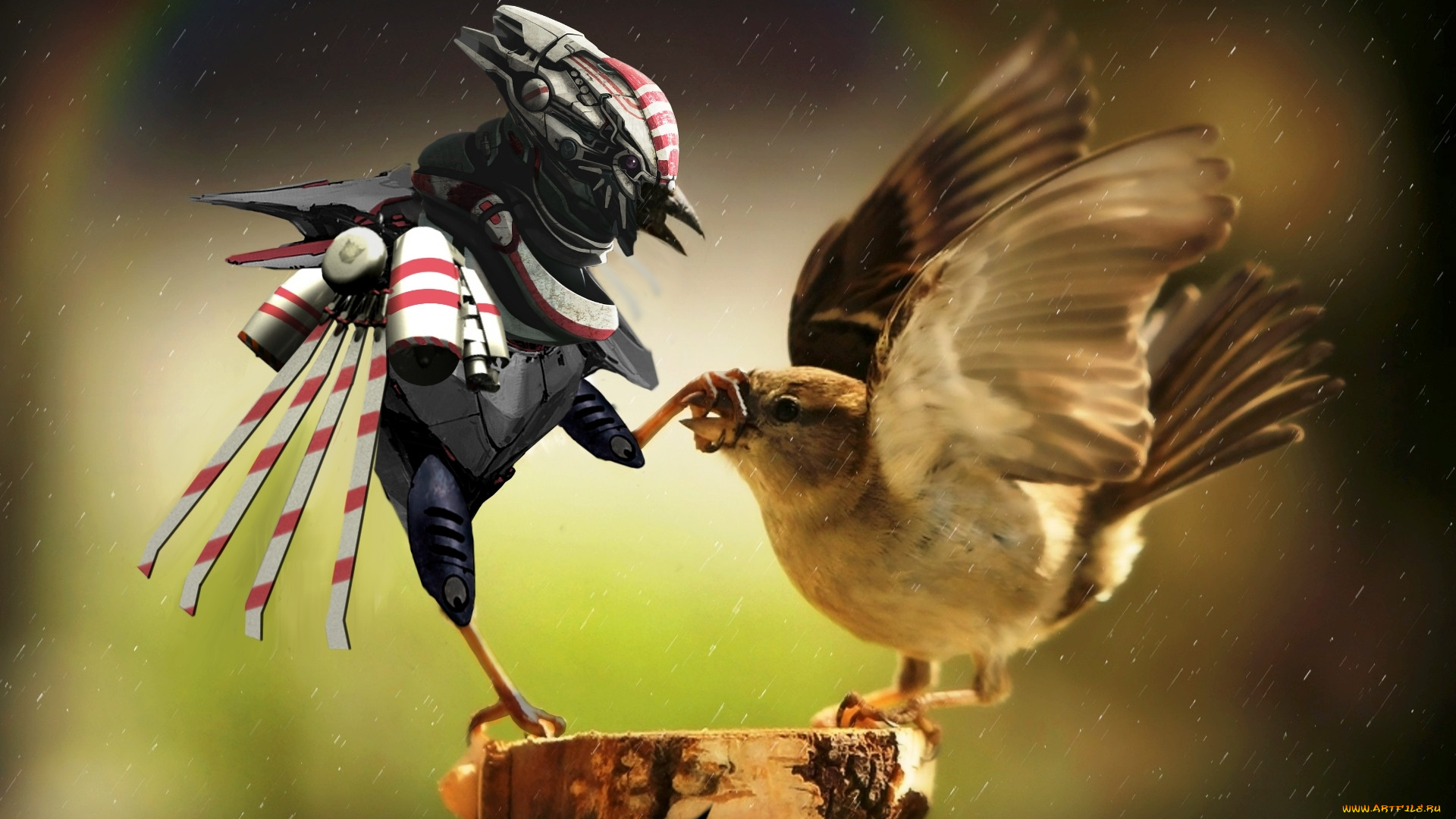 разное, компьютерный, дизайн, робот, воробей, птицы