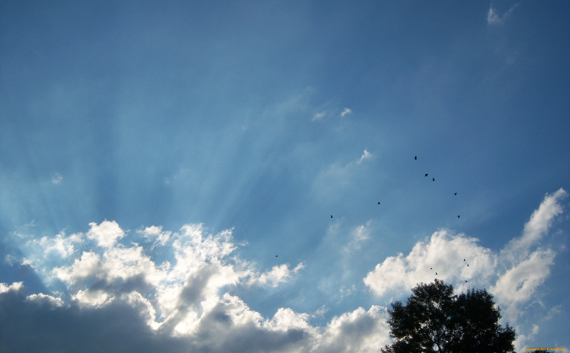 природа, облака