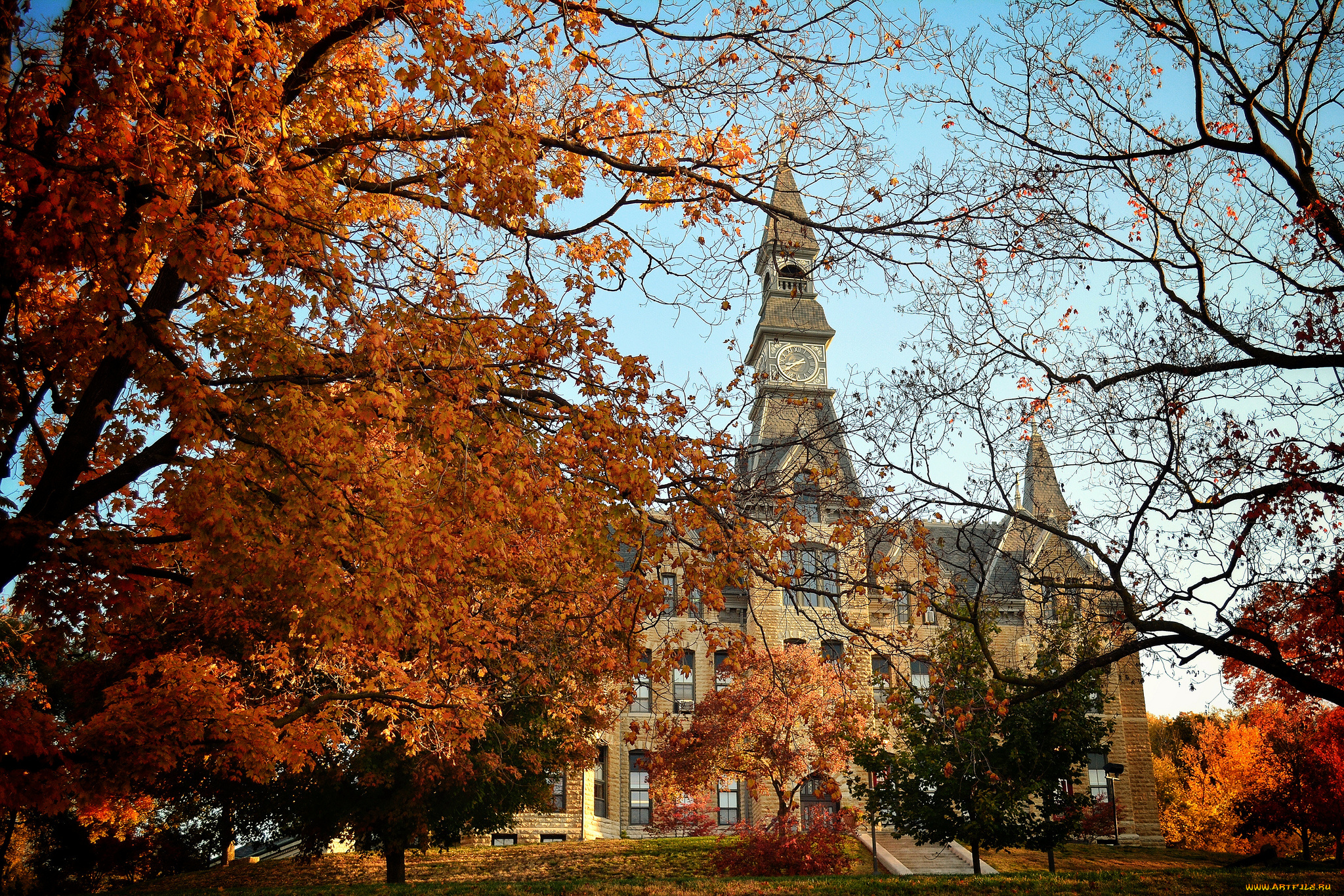 города, здания, дома, парк, деревья, трава, осень, краски, замок