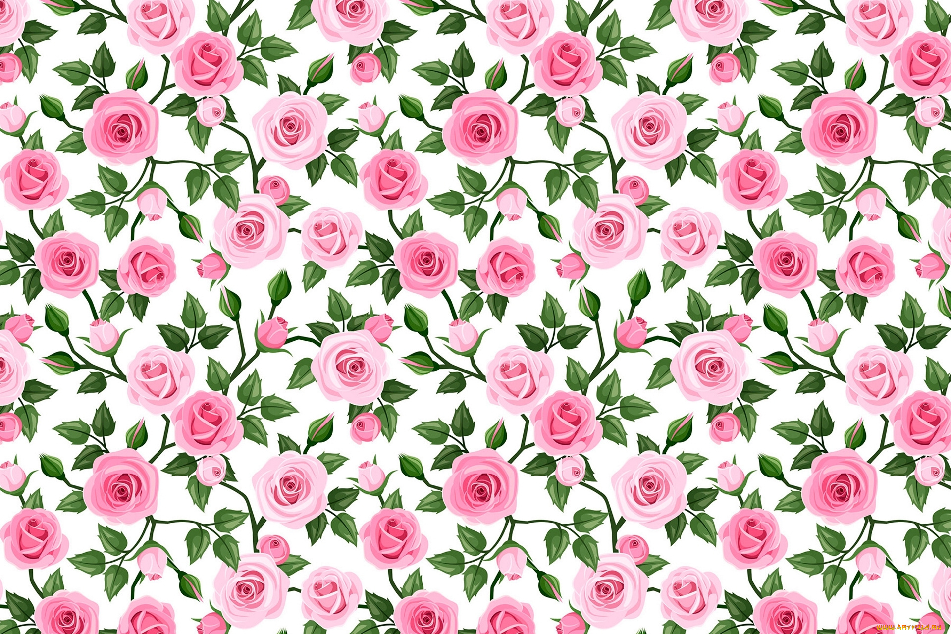 векторная, графика, цветы, , flowers, цветы, узор, веточки, розы