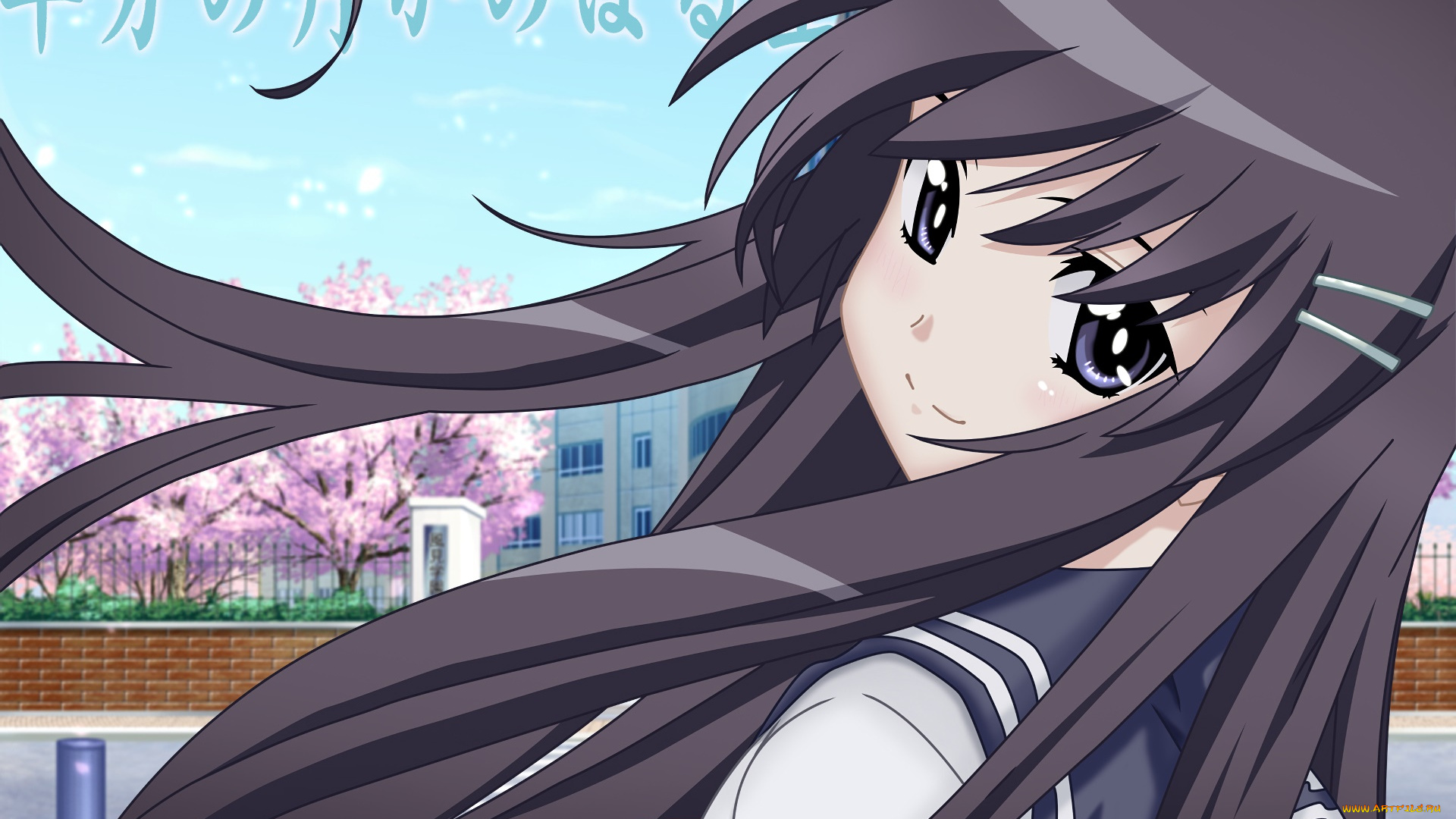 аниме, hanbun, no, tsuki, ga, noboru, sora, девушка, фон, взгляд