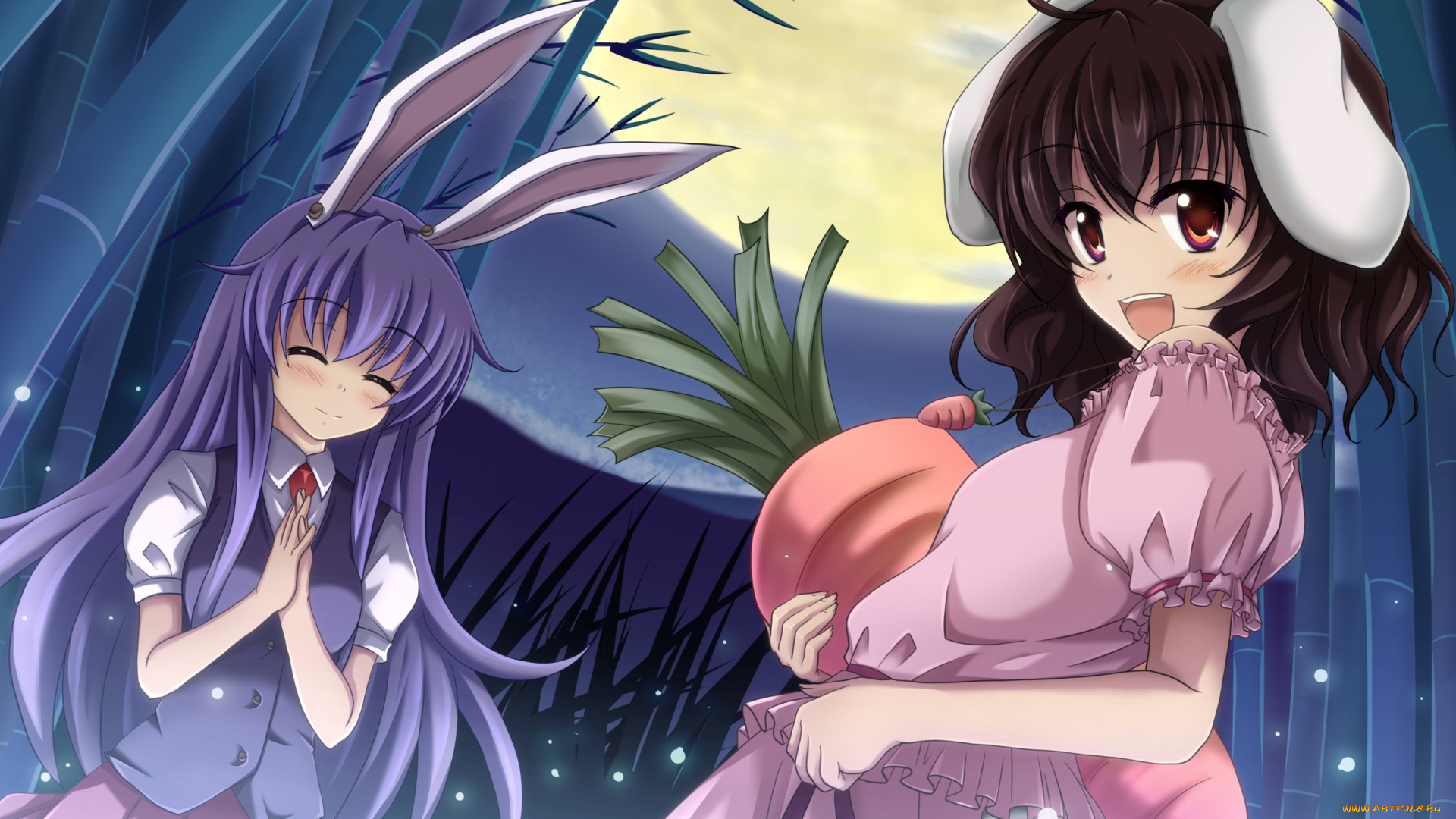 аниме, touhou, взгляд, фон, девушки