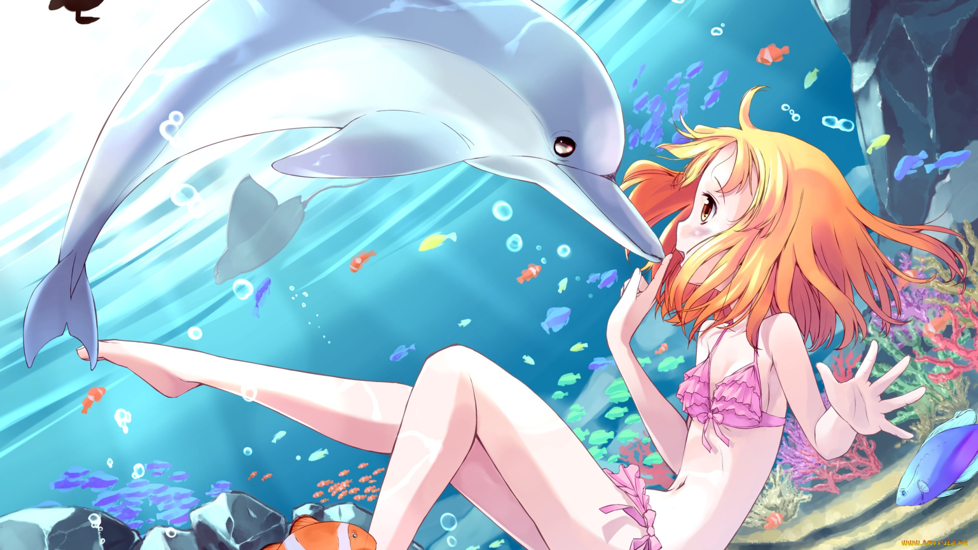 аниме, животные, , существа, фон, взгляд, девушка