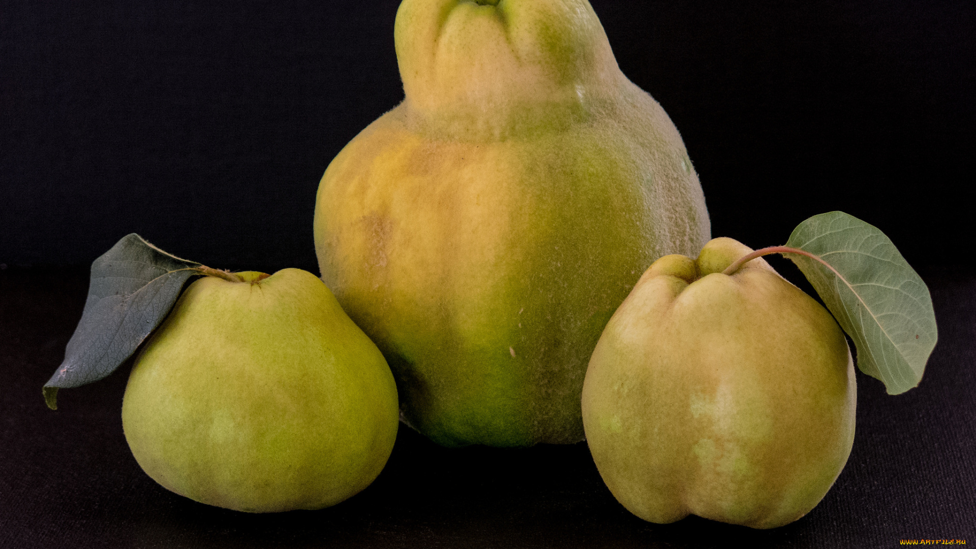 еда, груши, плоды