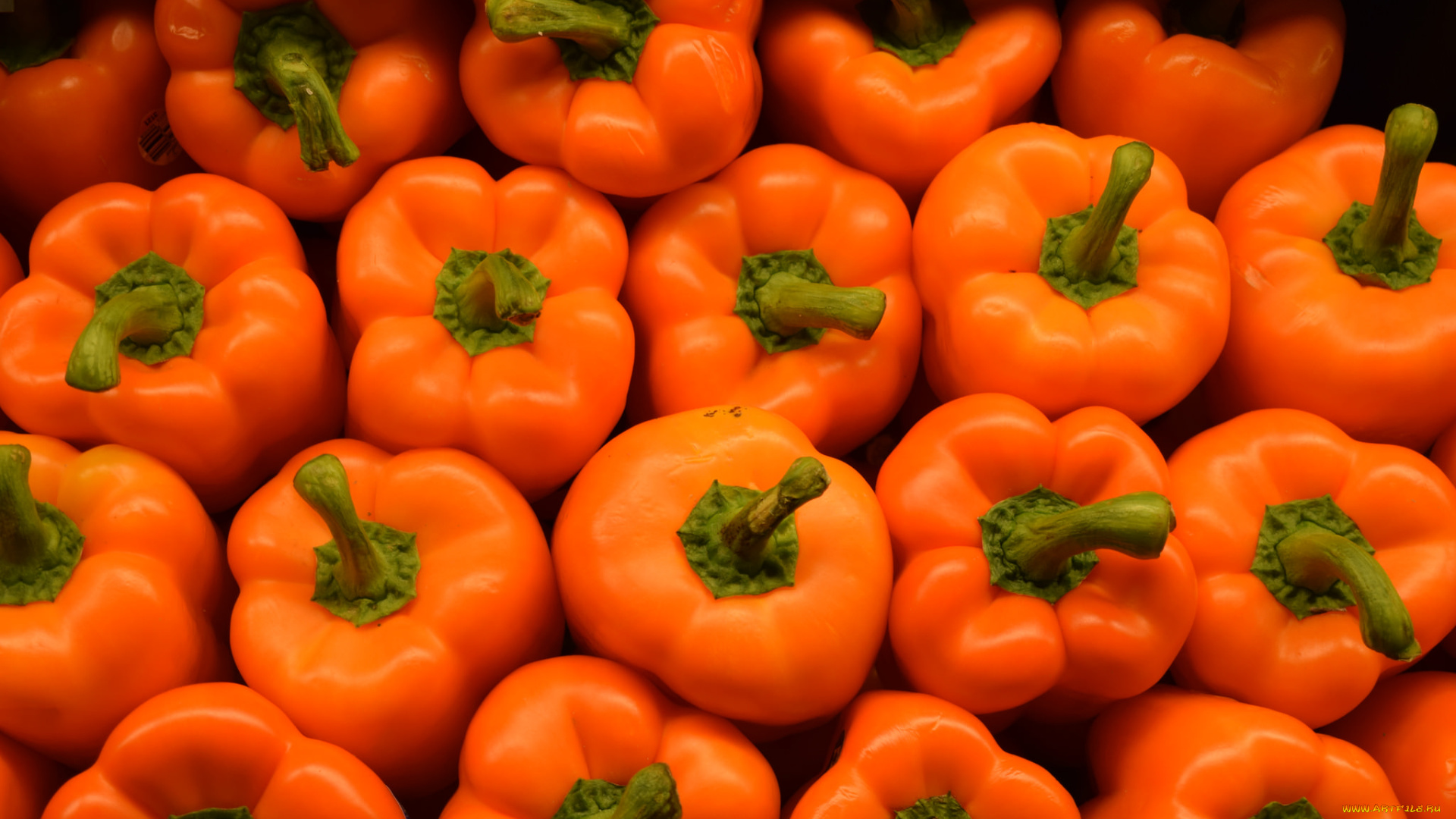 еда, перец, перчики