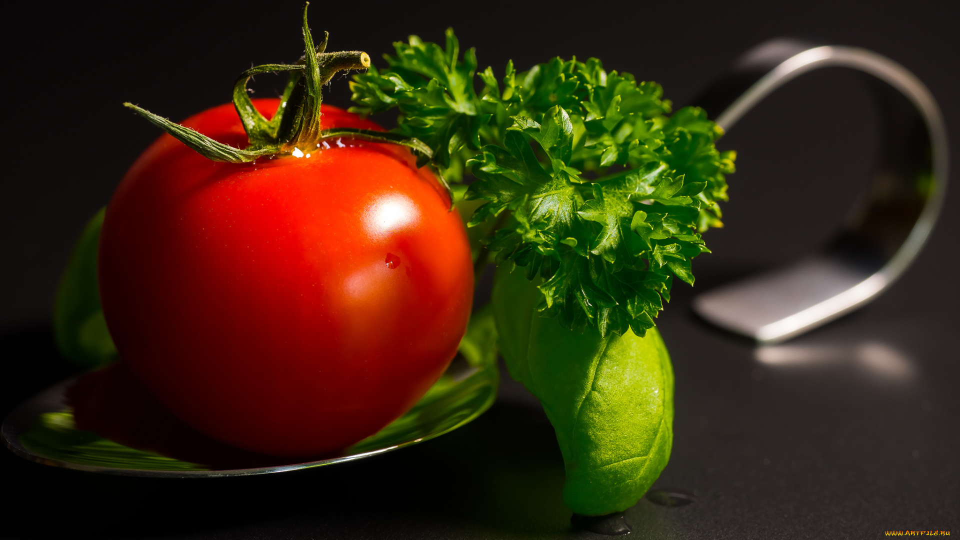 еда, помидоры, помидорка