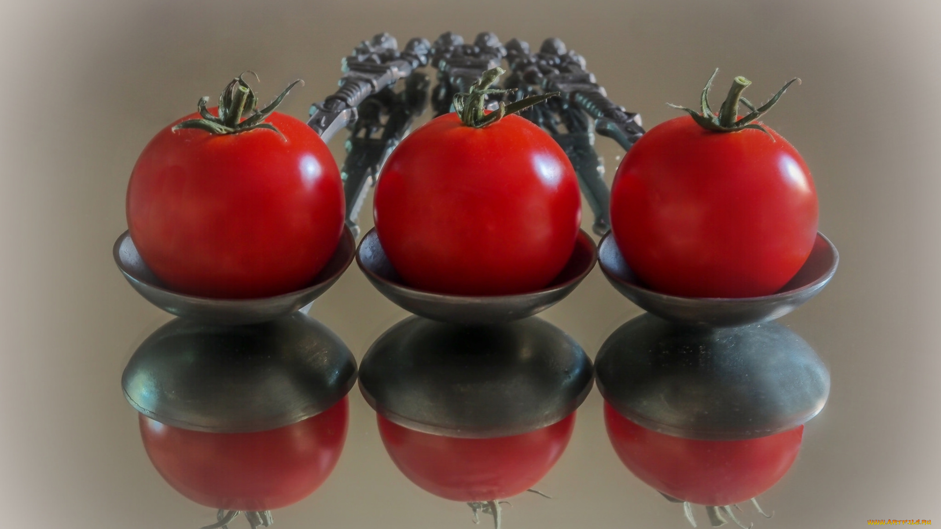 еда, помидоры, томаты