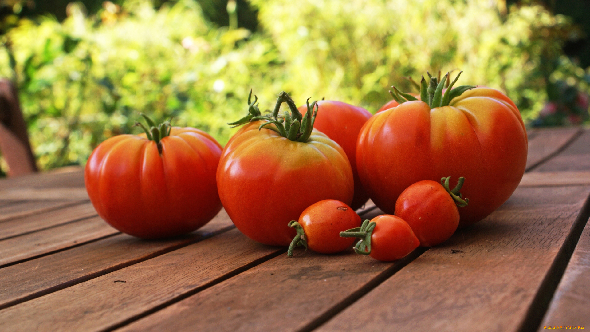 еда, помидоры, томаты