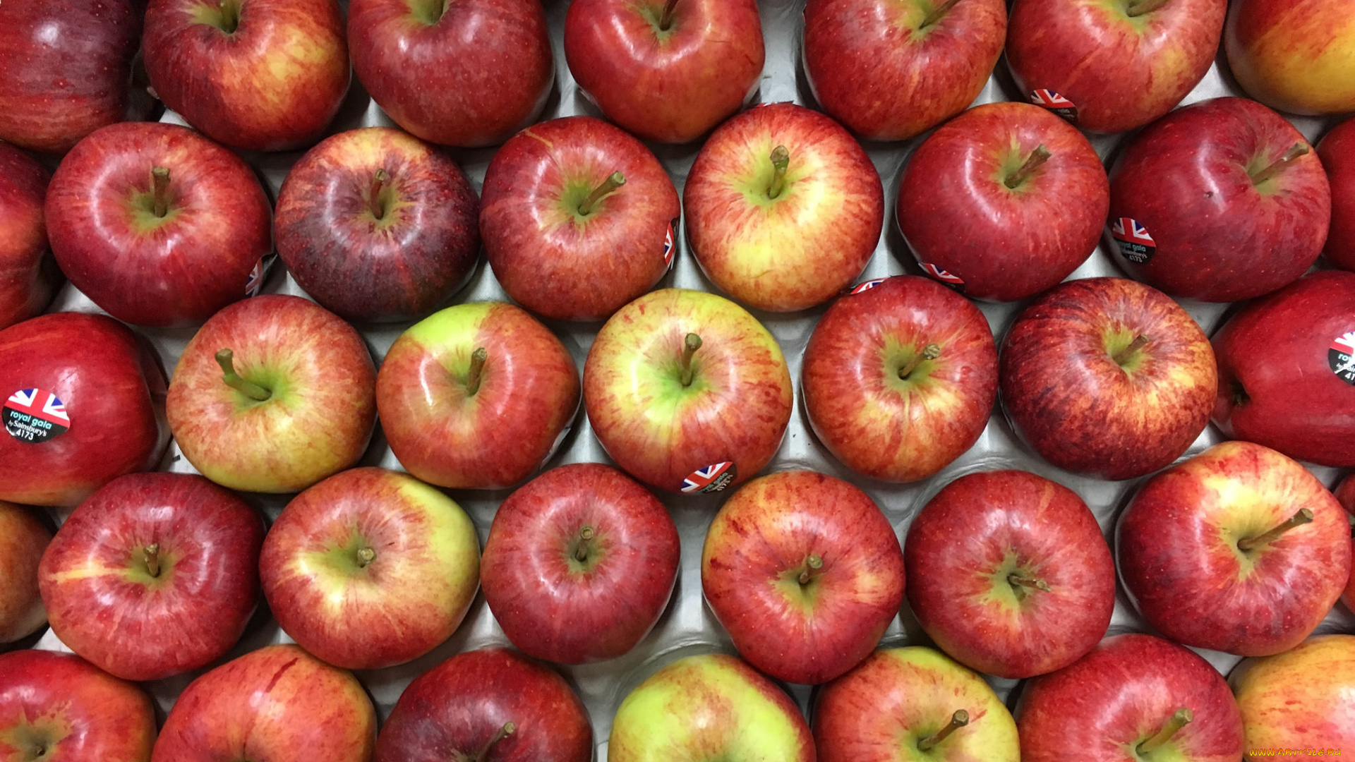 еда, Яблоки, яблочки