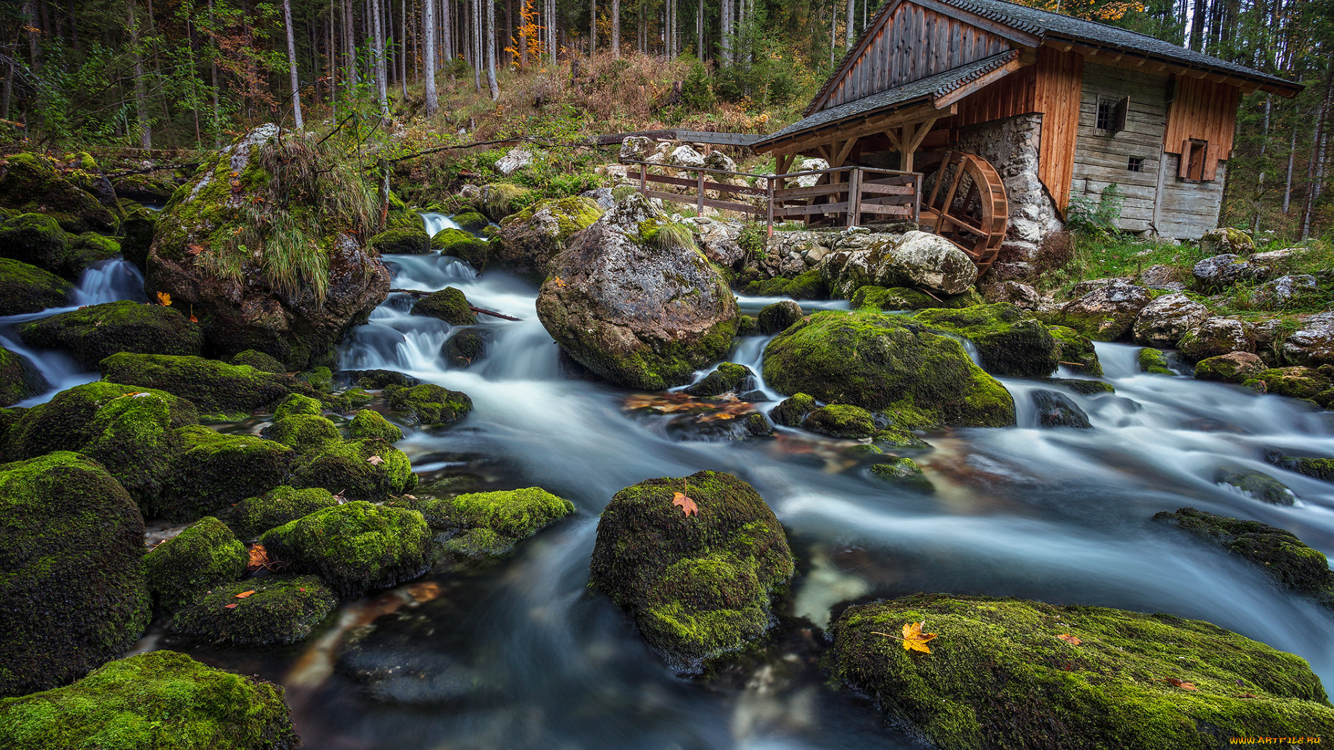 разное, мельницы, река, лес