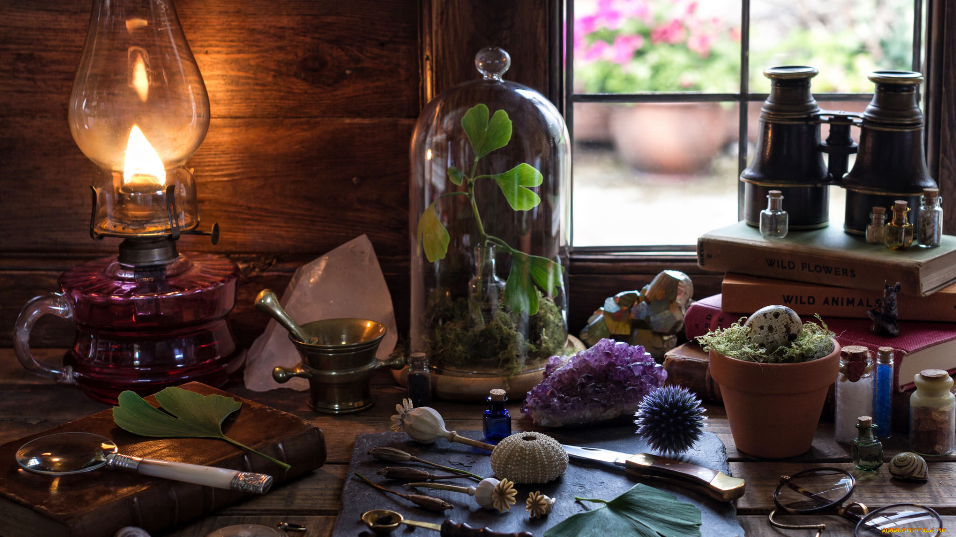 разное, предметы, быта, нож, бинокль, лампа