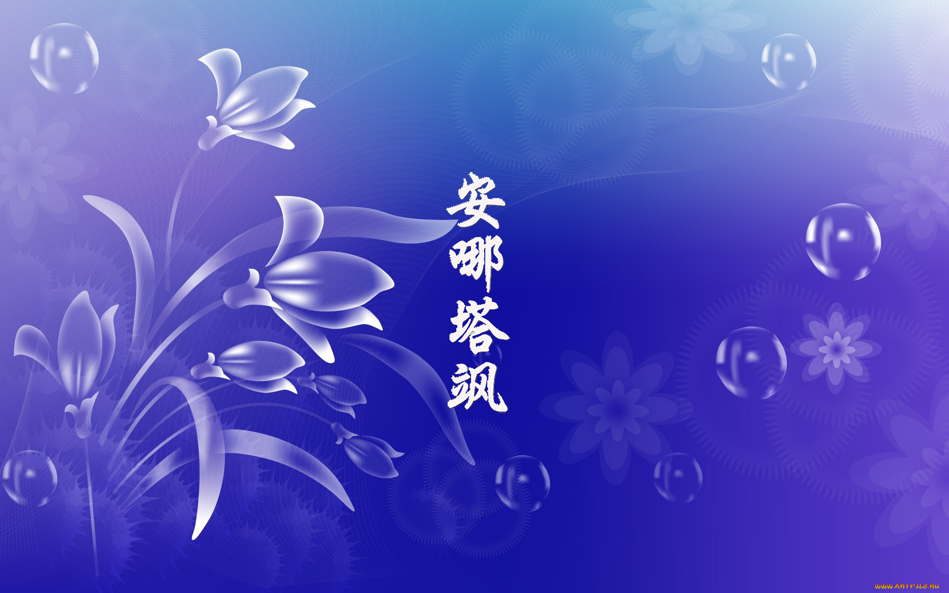 анастасия, разное, надписи, , логотипы, , знаки, фон, имя, иероглиф, знаки, логотипы