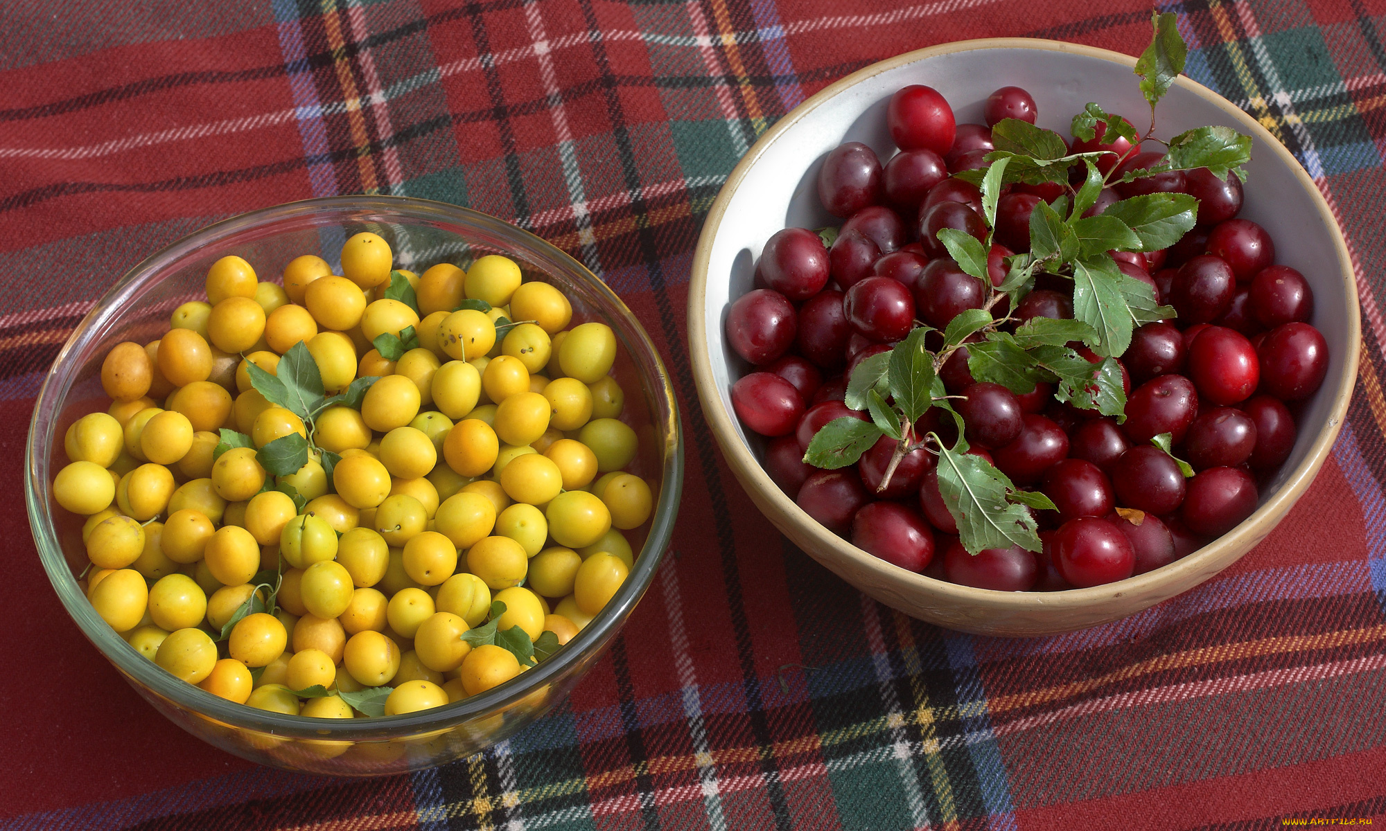 еда, фрукты, , ягоды, ягодки