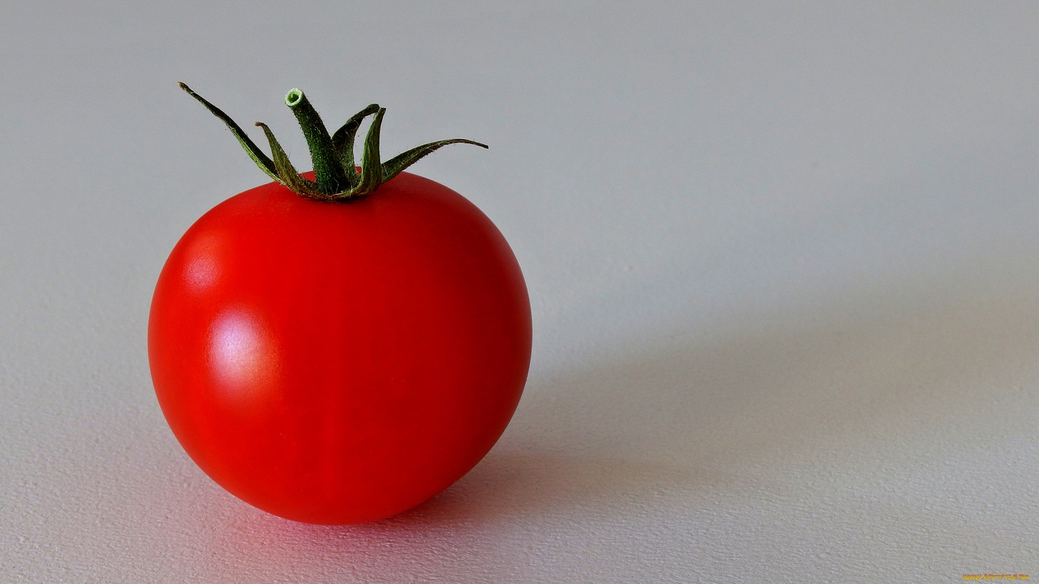 еда, помидоры, томаты