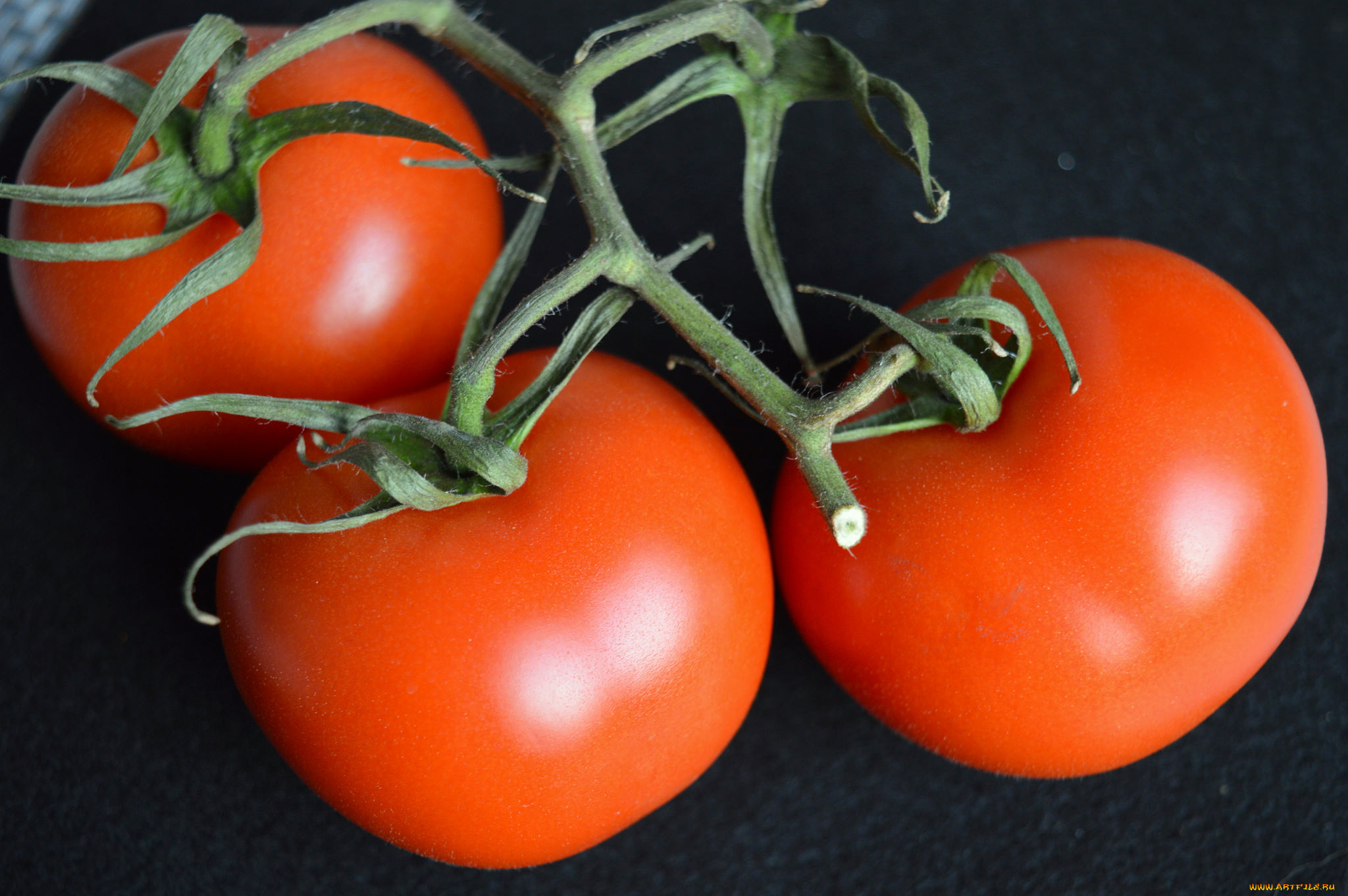 еда, помидоры, томаты