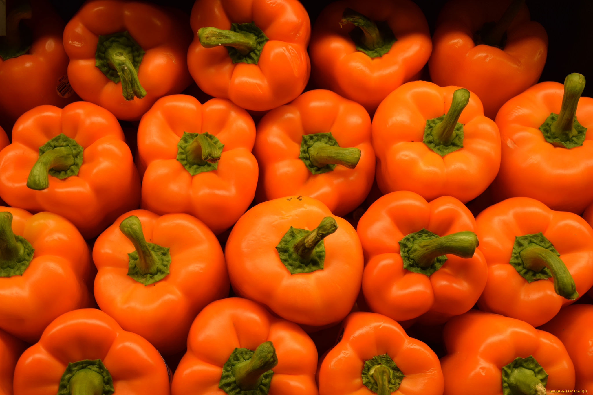 еда, перец, перчики