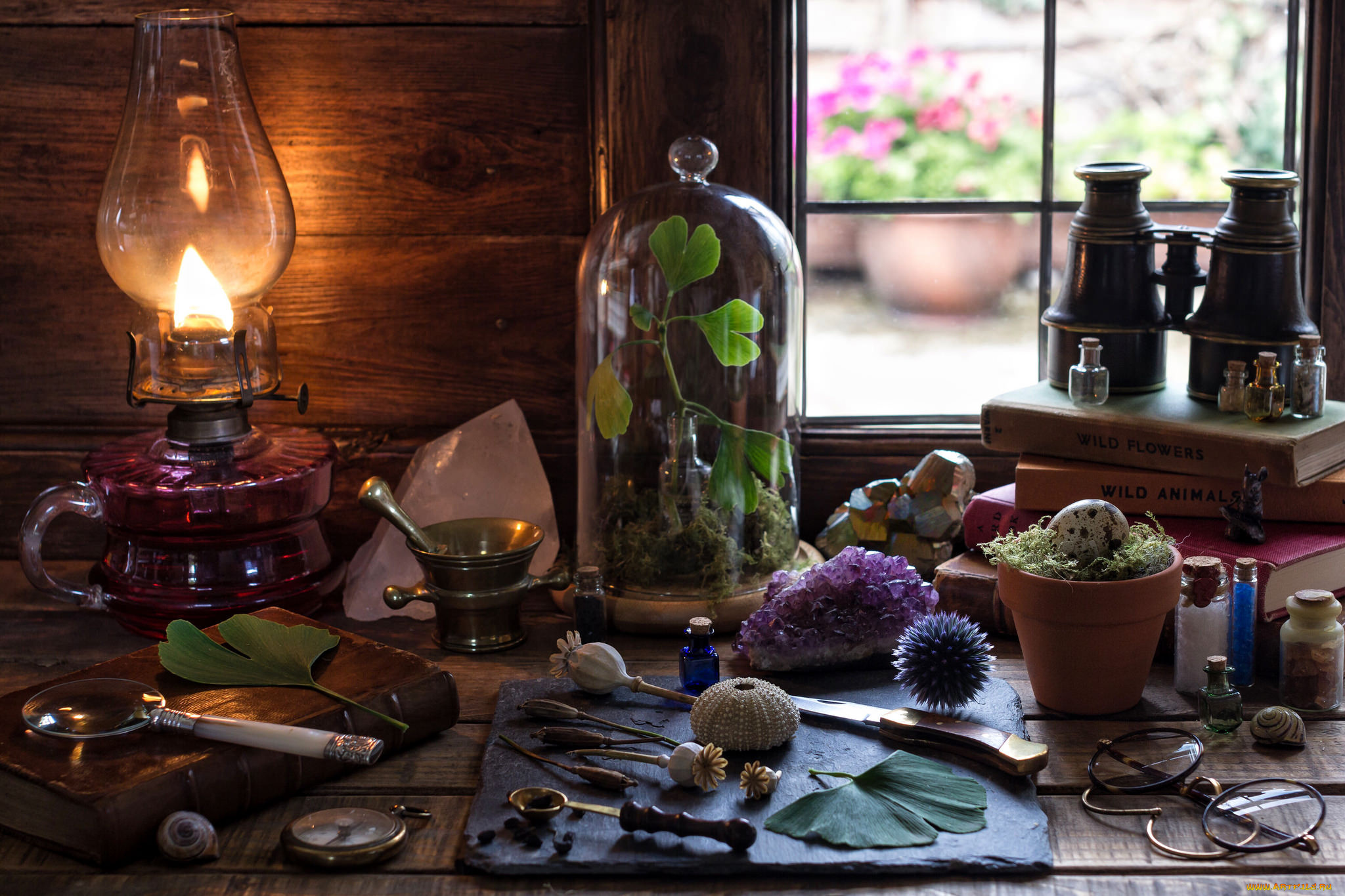 разное, предметы, быта, нож, бинокль, лампа