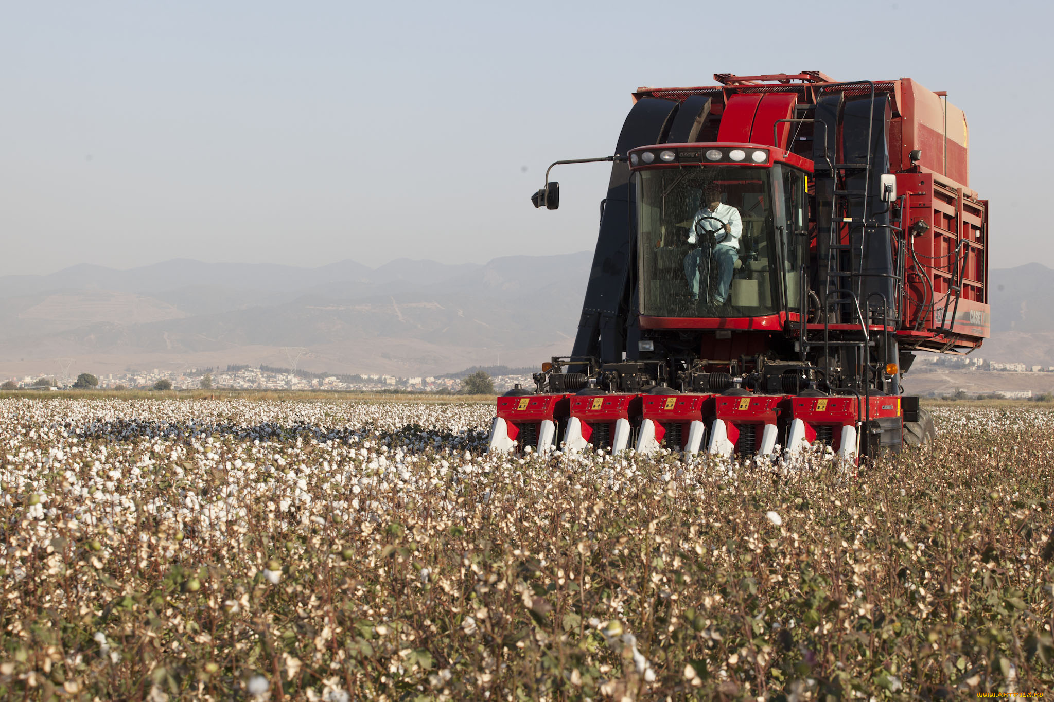 техника, комбайны, case