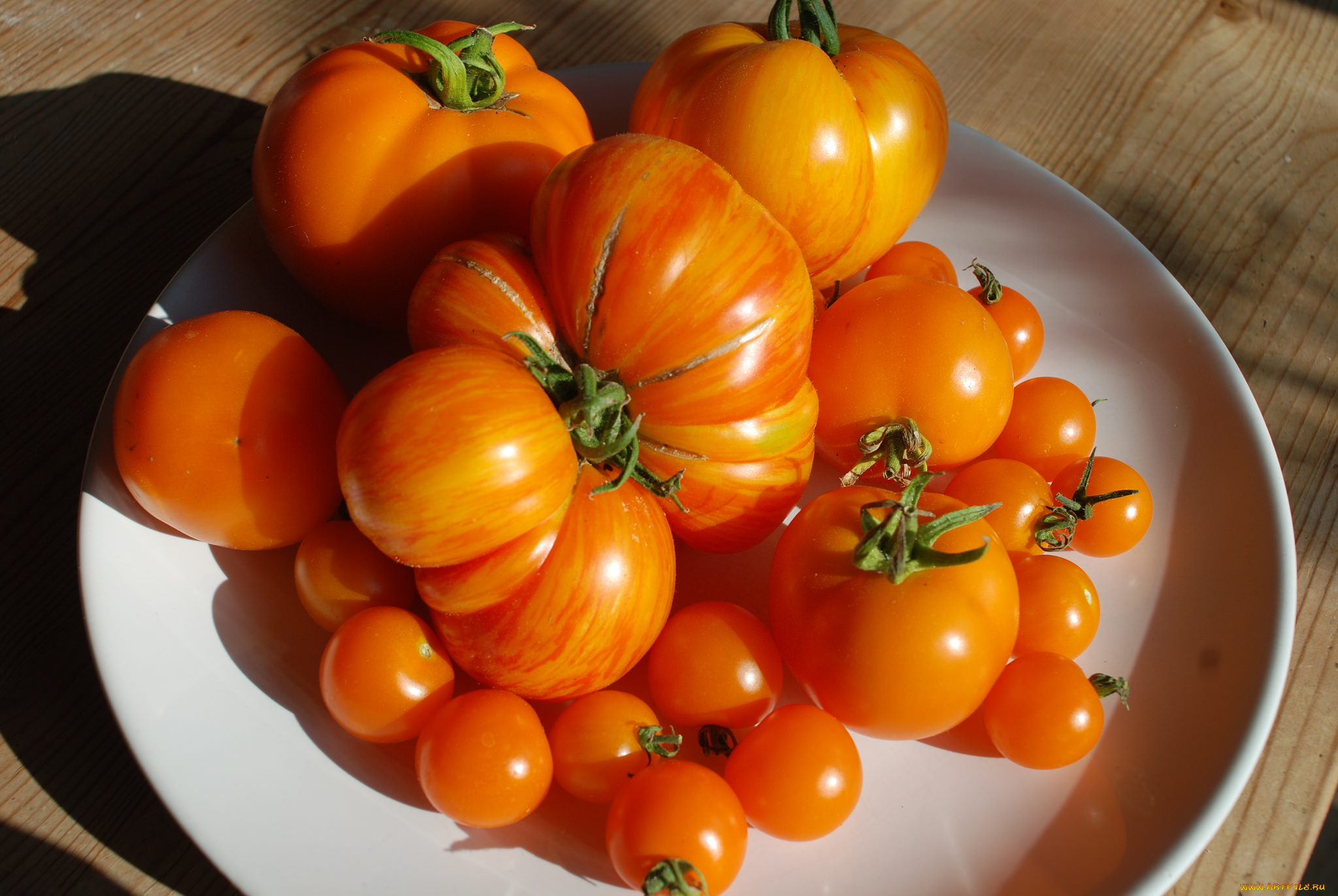 еда, помидоры, томаты