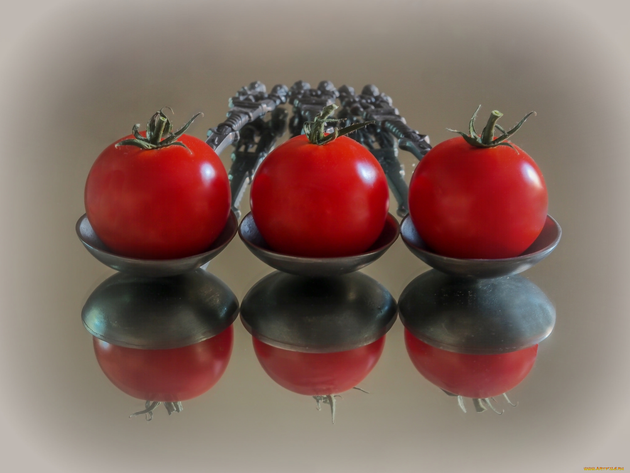 еда, помидоры, томаты