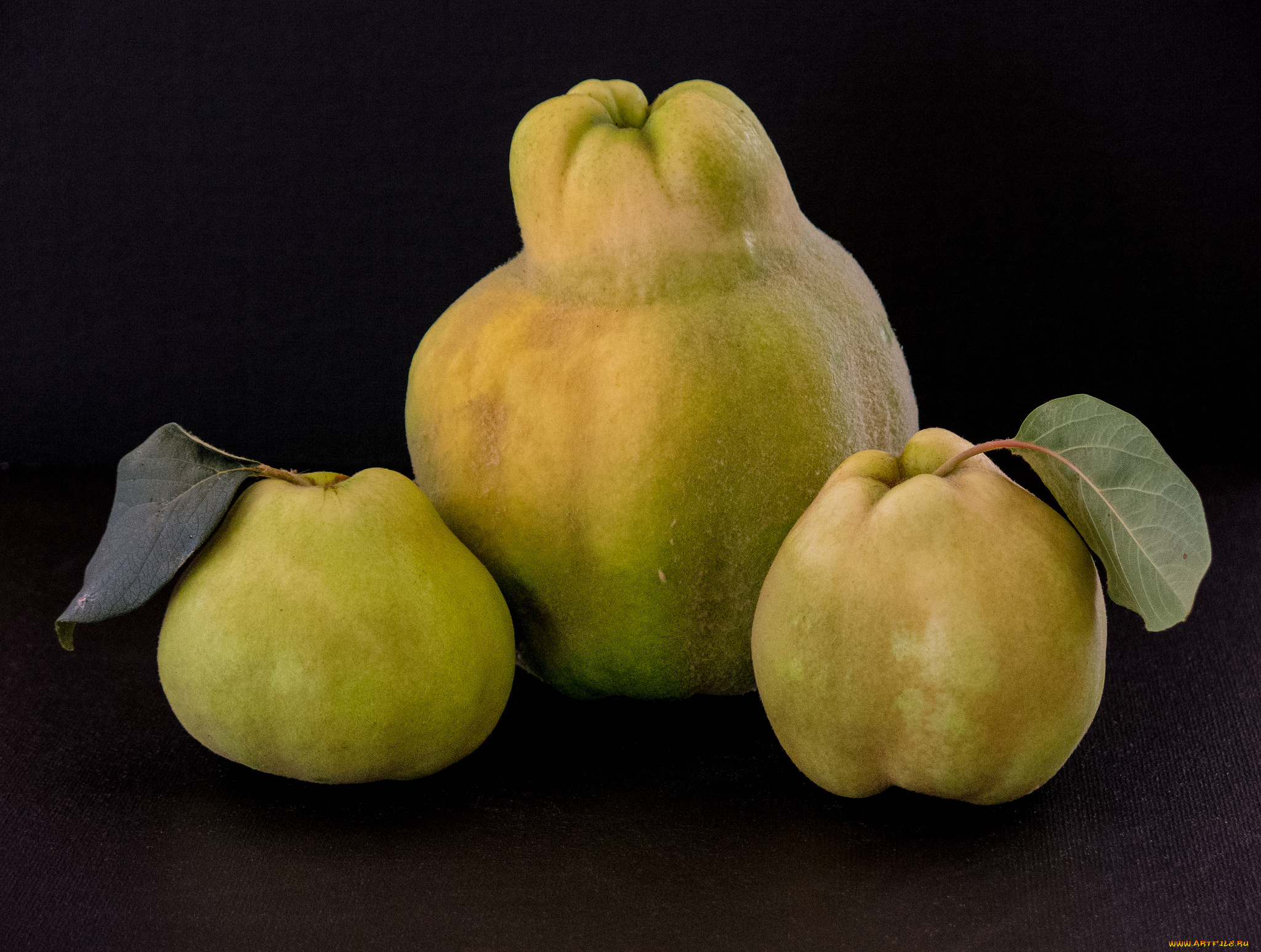 еда, груши, плоды