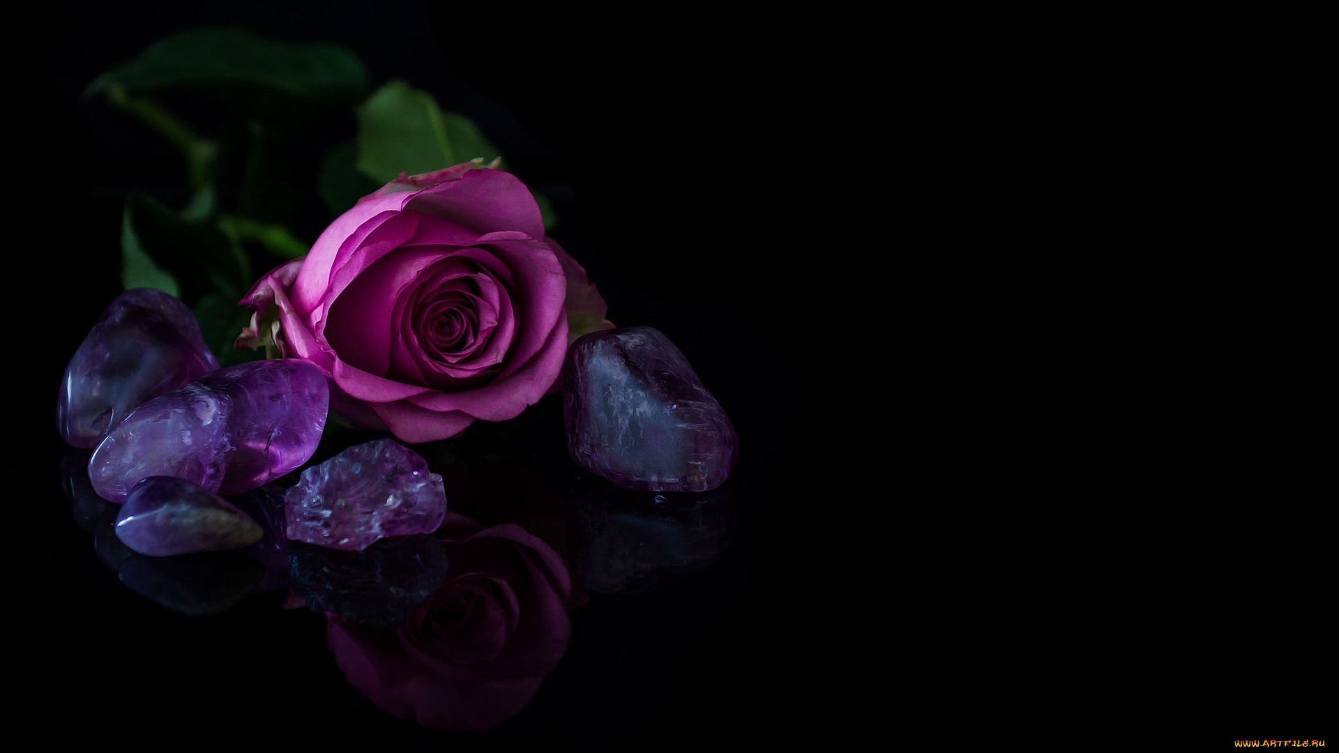 цветы, розы, камни, бутон