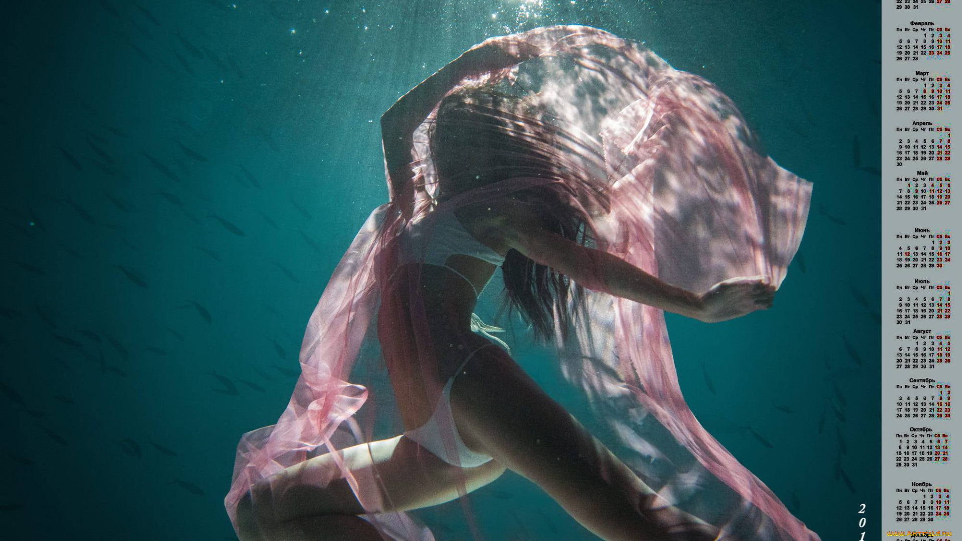 календари, девушки, купальник, водоем, 2018