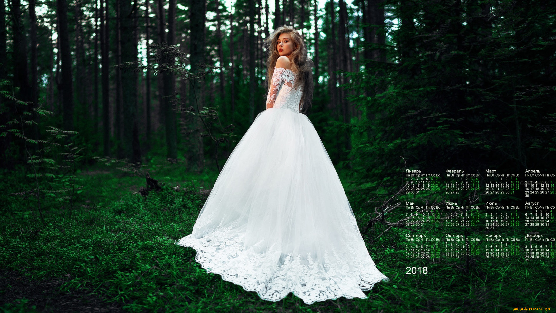 календари, девушки, невеста, 2018, лес, взгляд, растения, платье