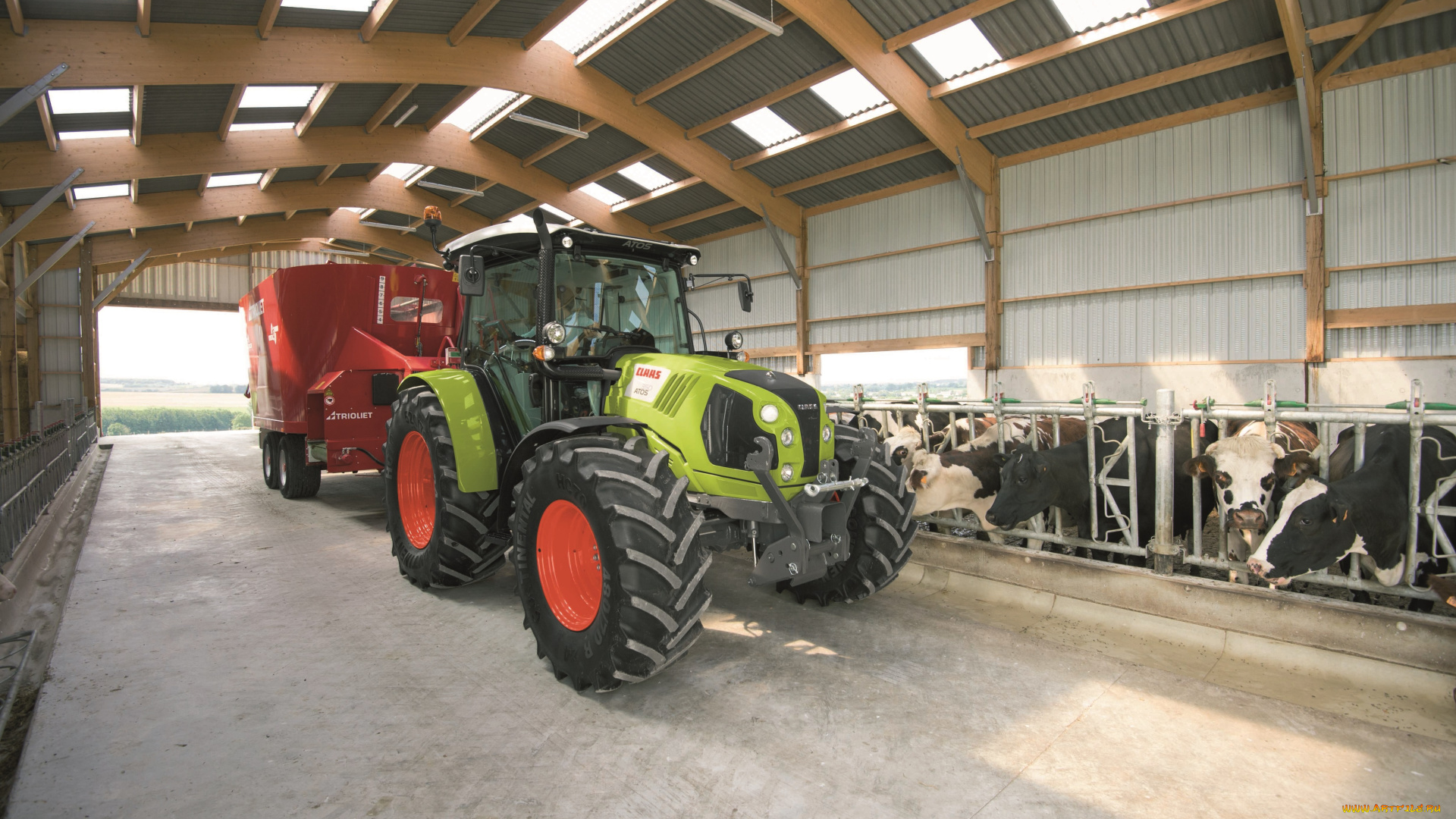 техника, тракторы, claas, axion