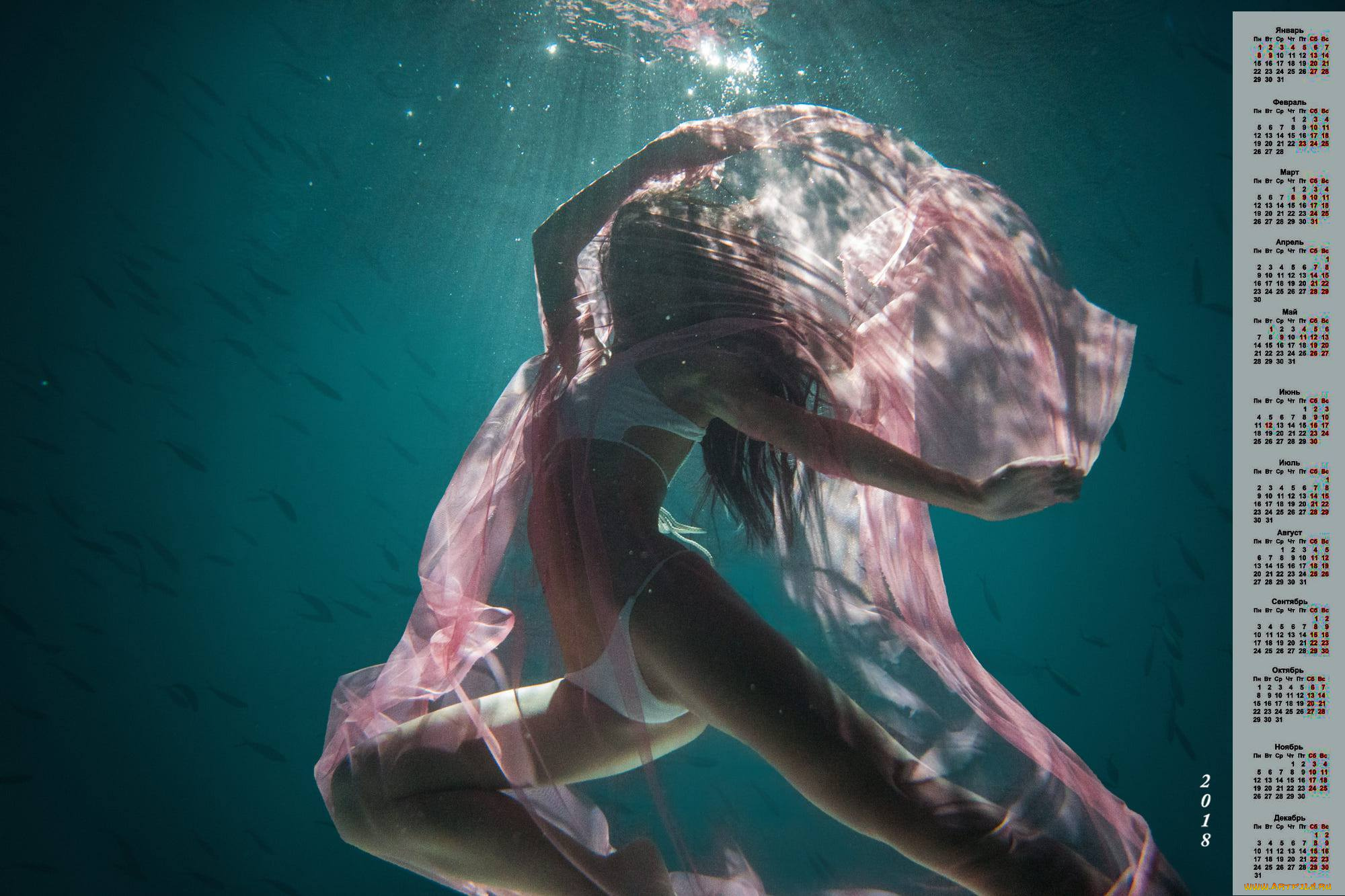 календари, девушки, купальник, водоем, 2018