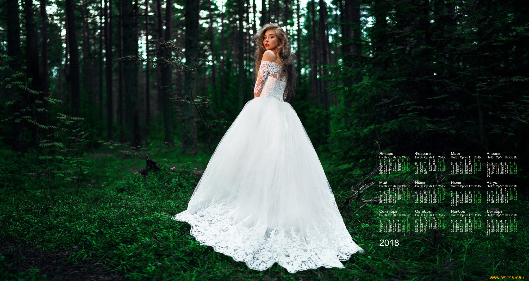 календари, девушки, невеста, 2018, лес, взгляд, растения, платье