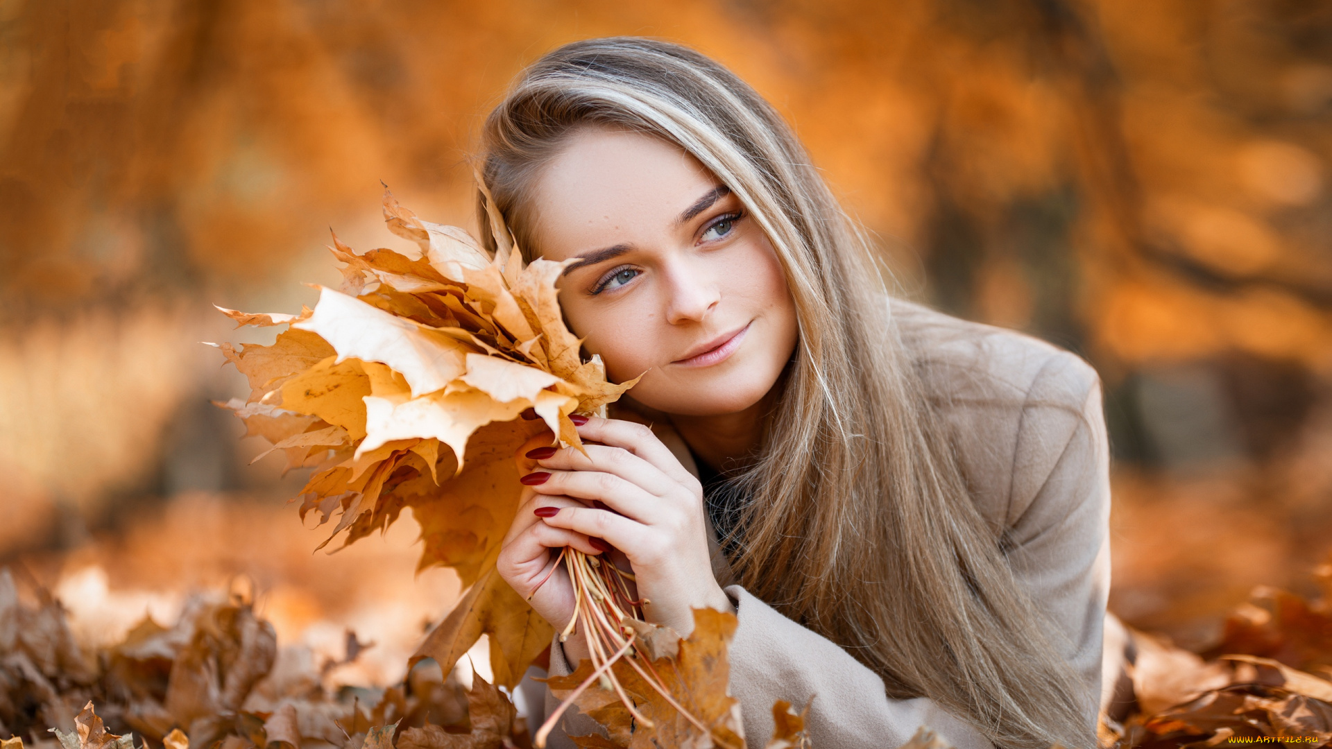 девушка, девушки, -unsort, , блондинки, , светловолосые, модель