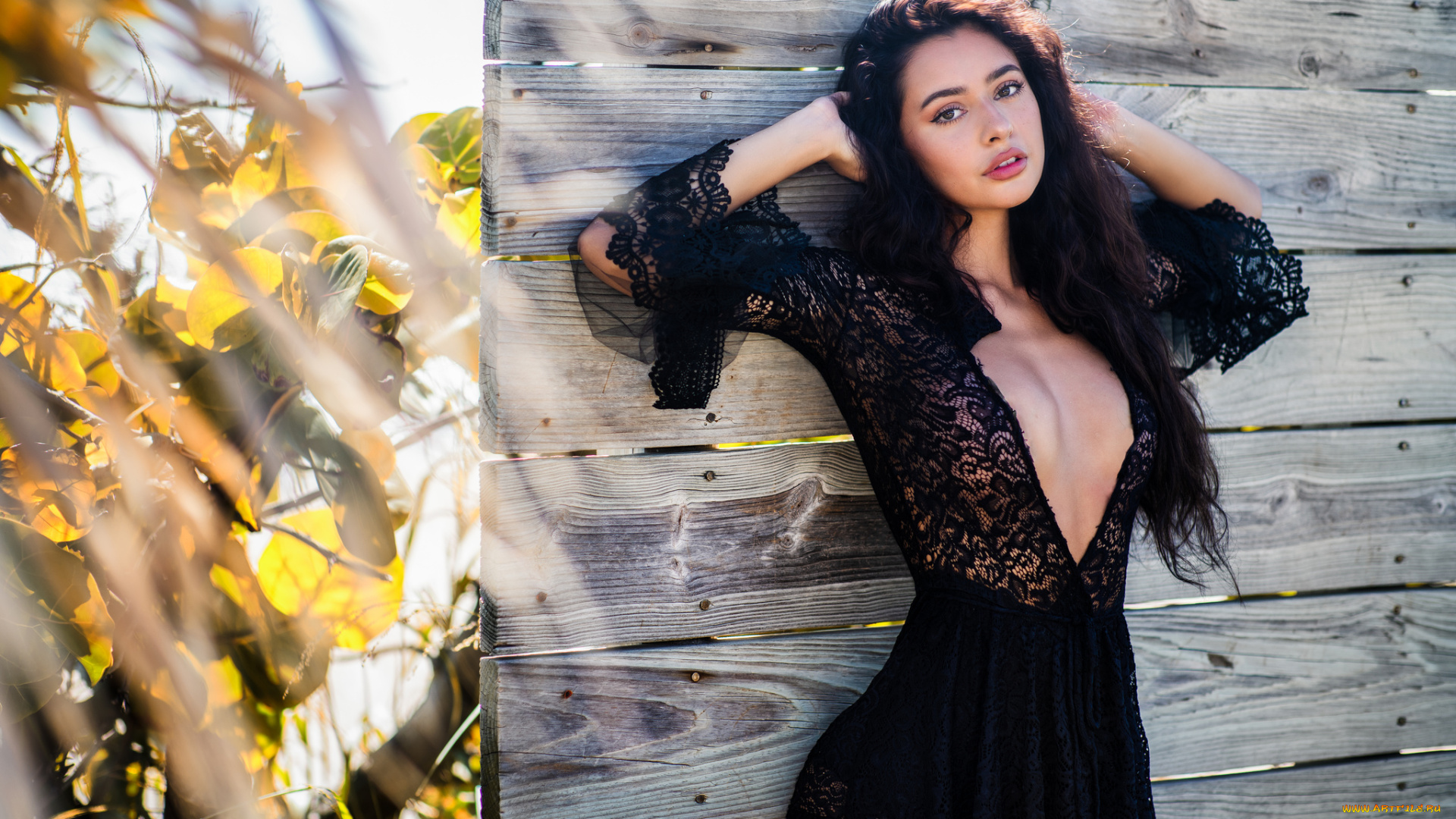 девушка, девушки, -unsort, , брюнетки, темноволосые, модель