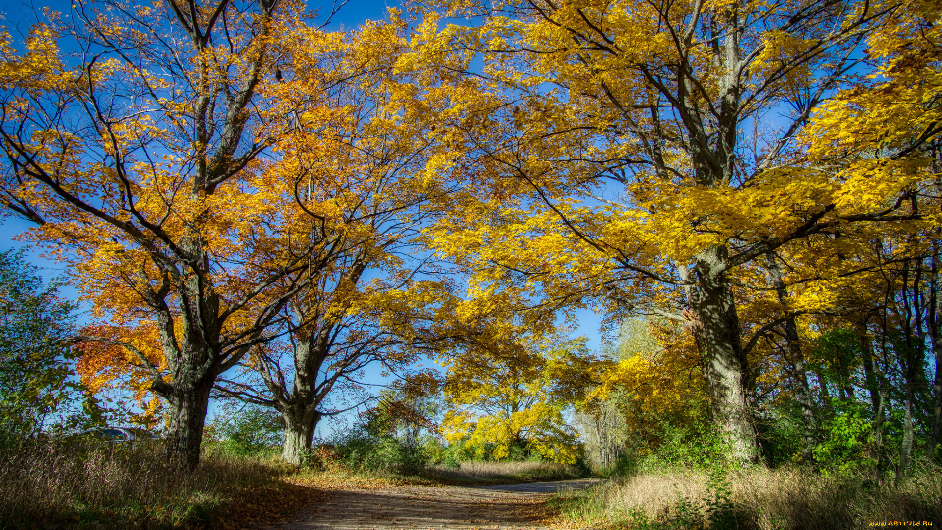 природа, дороги, простор
