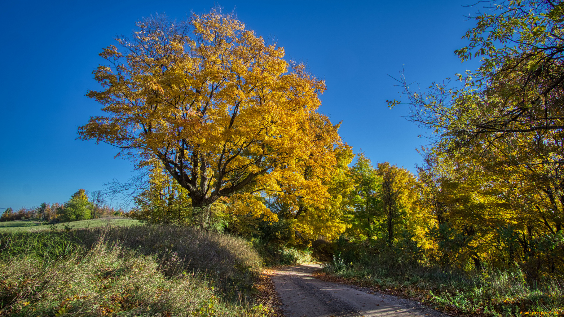природа, дороги, простор
