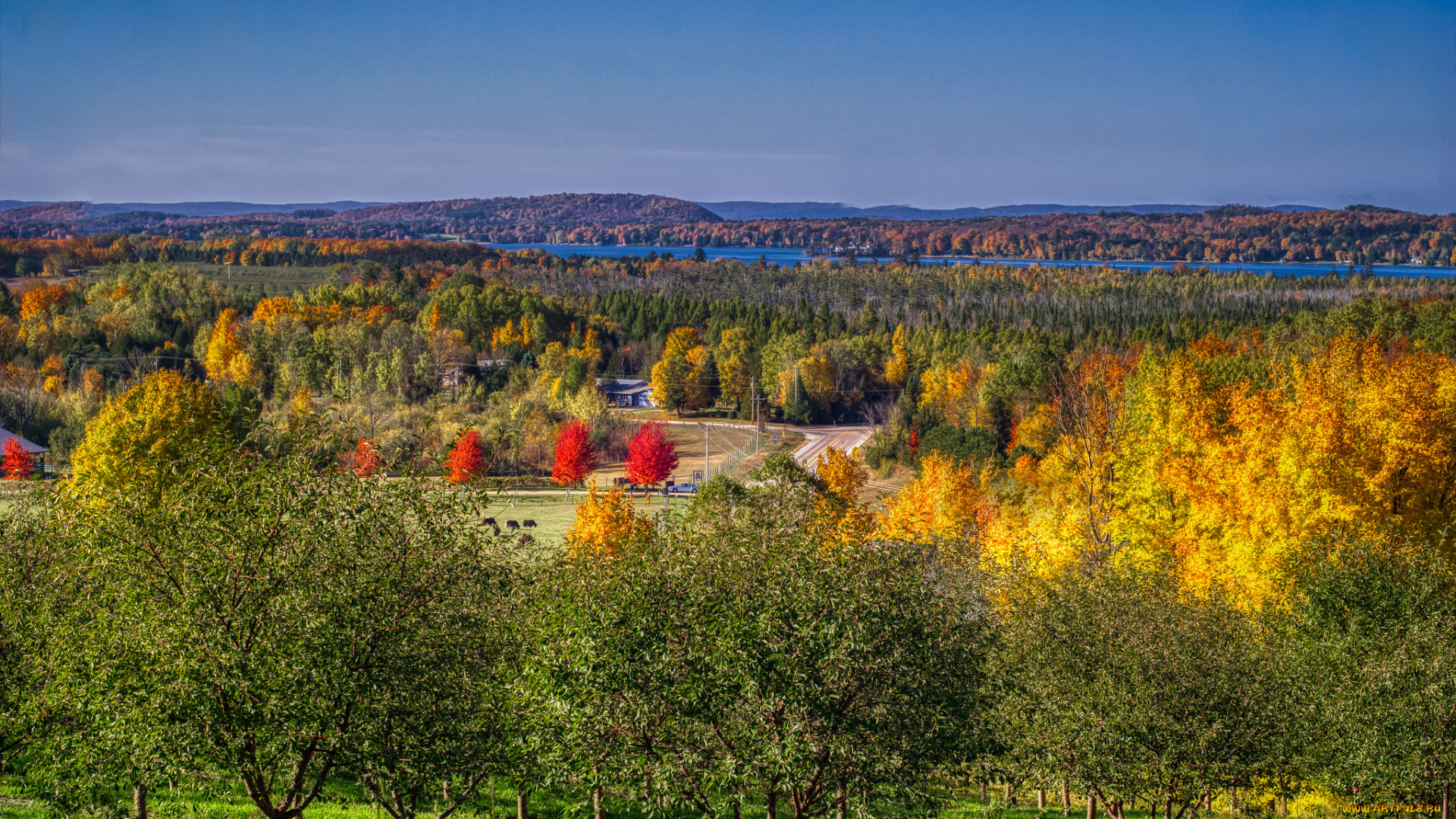 природа, пейзажи, простор
