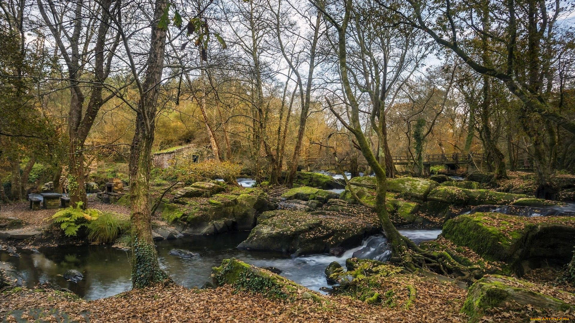 природа, реки, озера, зима, река