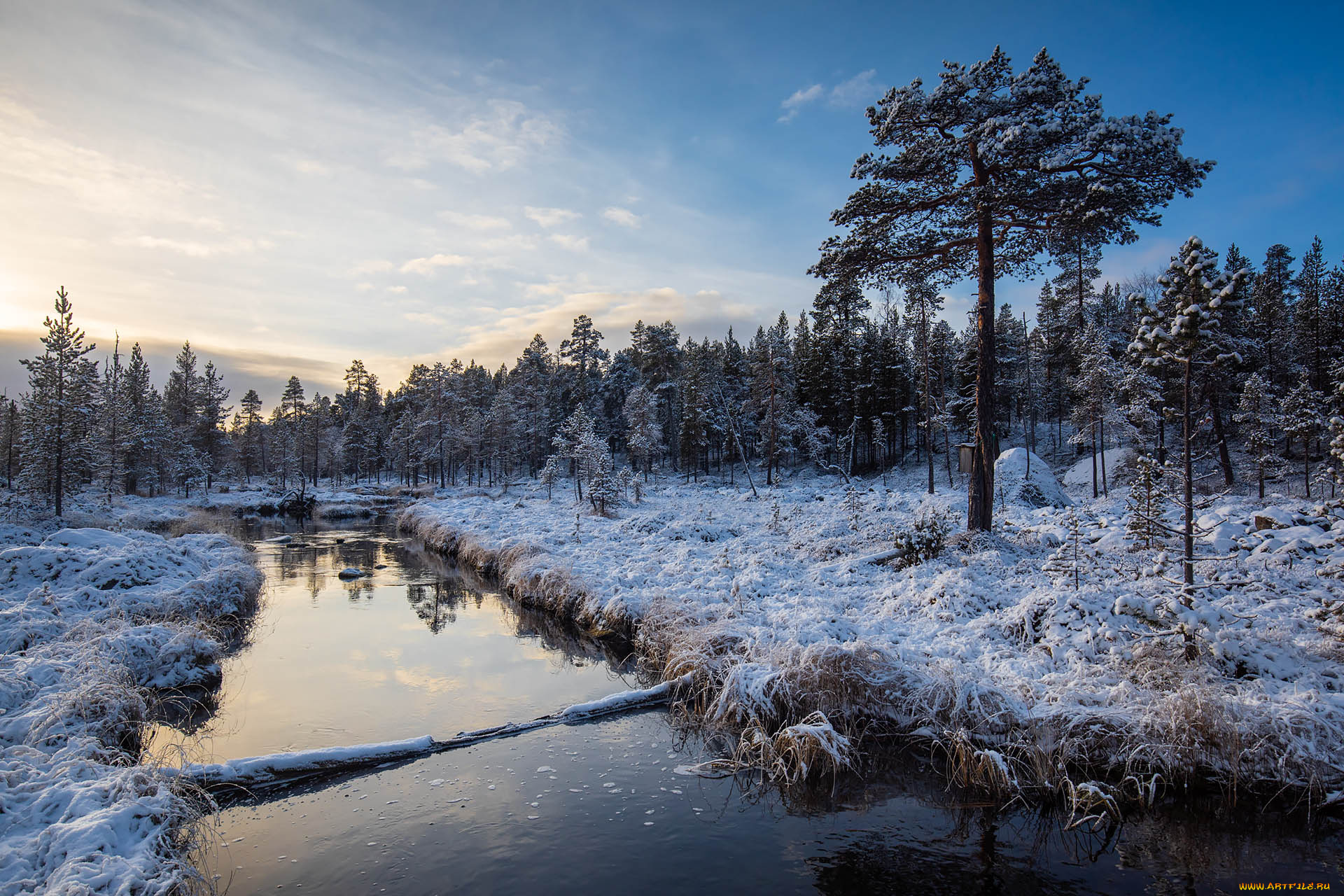 природа, реки, озера, река, лес