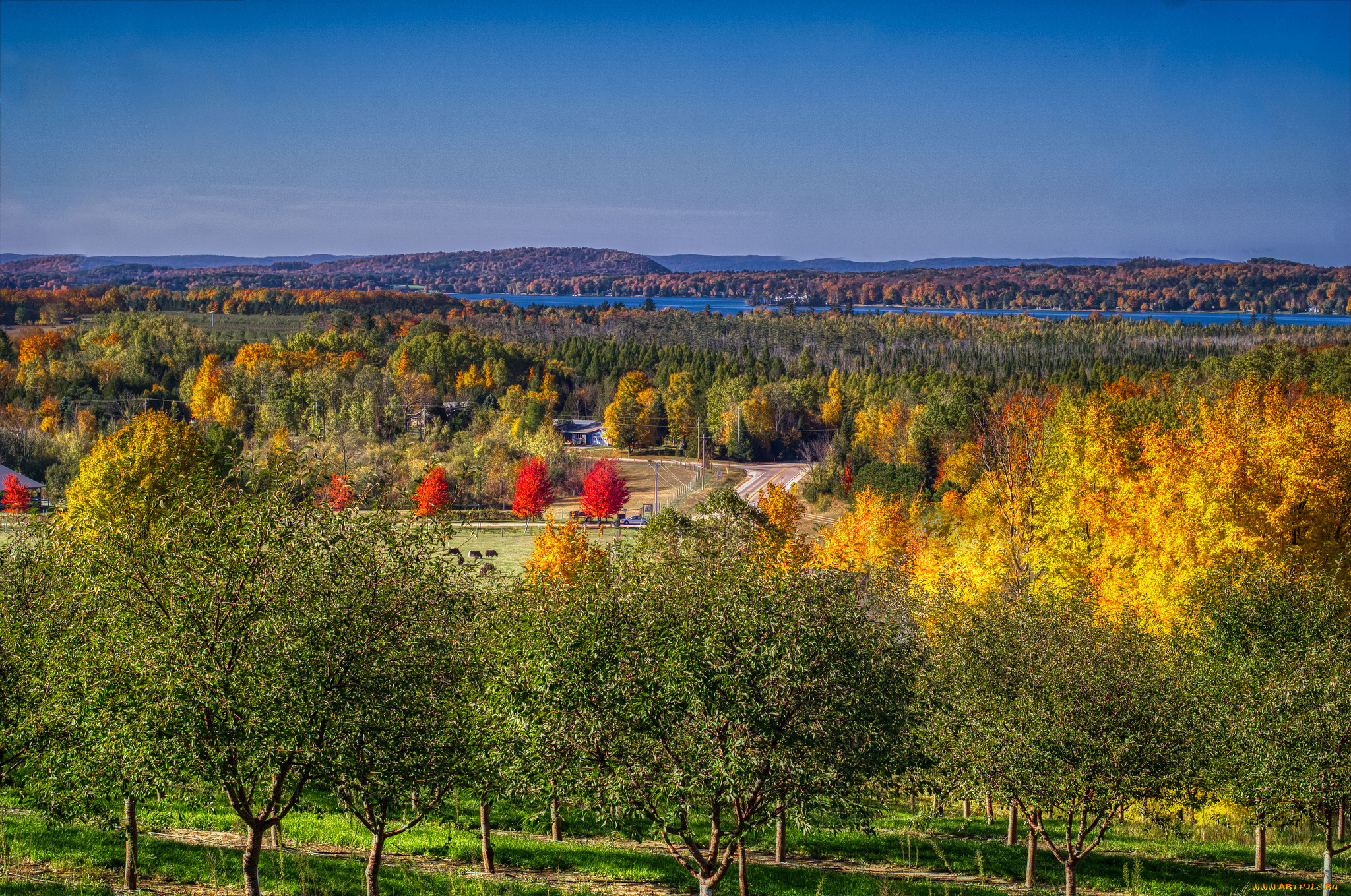природа, пейзажи, простор