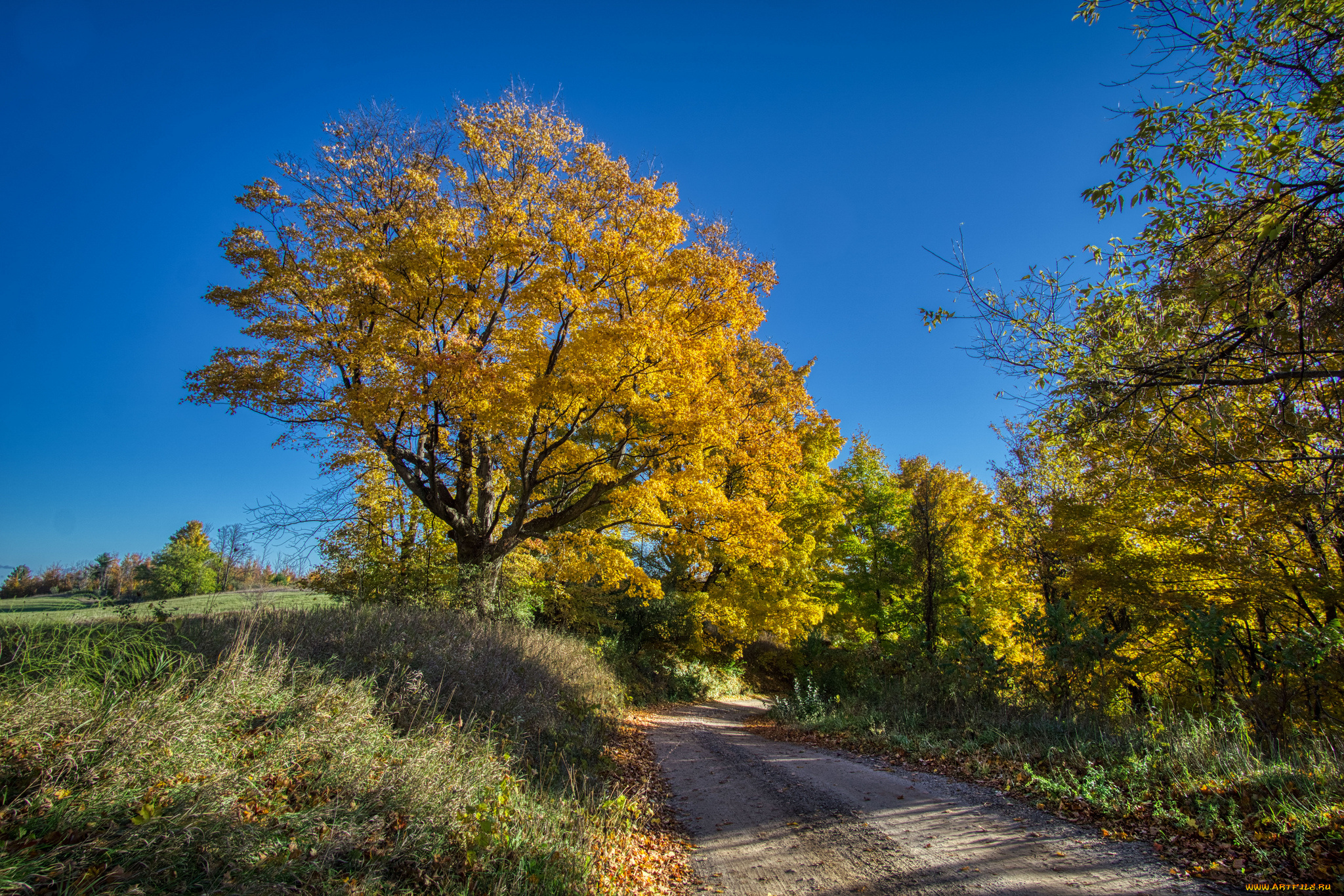 природа, дороги, простор